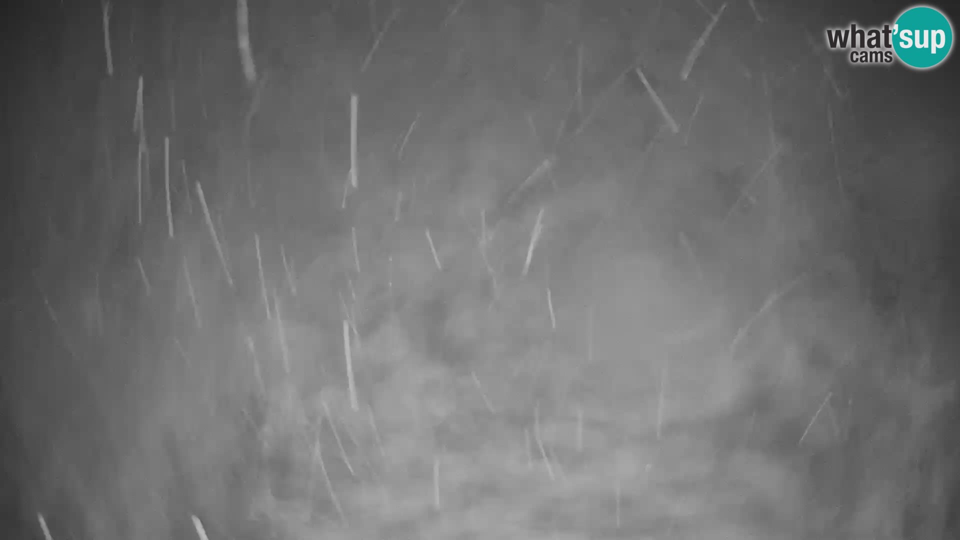 Webcam en direct de la station de ski de GOLTE – vue sur Medvedjak – Slovénie