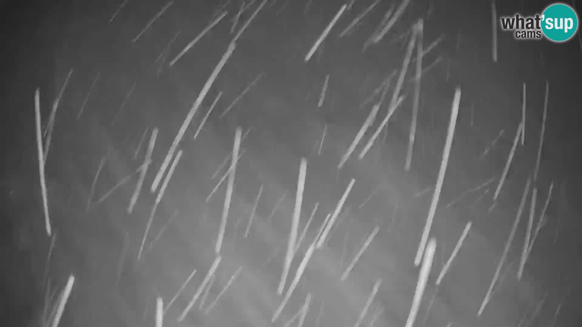 Cámara web en vivo de la estación de esquí GOLTE – vista a Medvedjak – Eslovenia