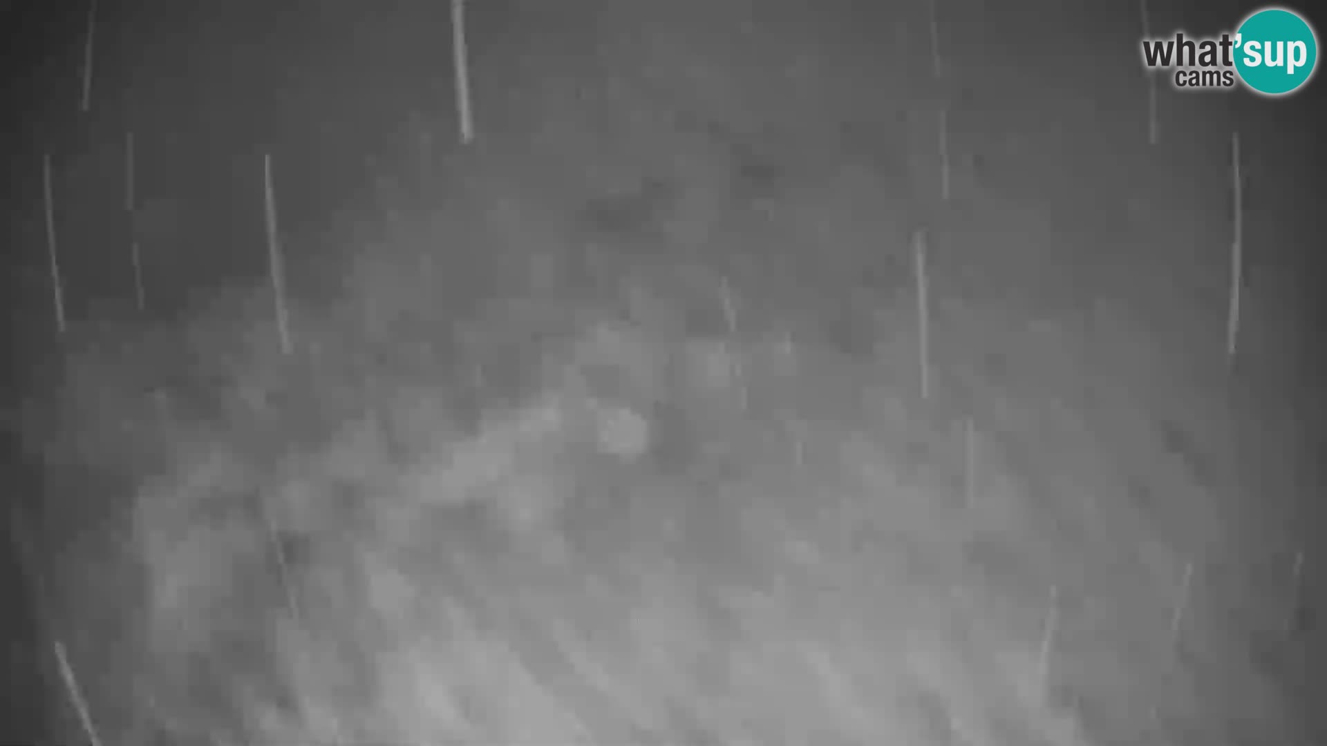 Cámara web en vivo de la estación de esquí GOLTE – vista a Medvedjak – Eslovenia