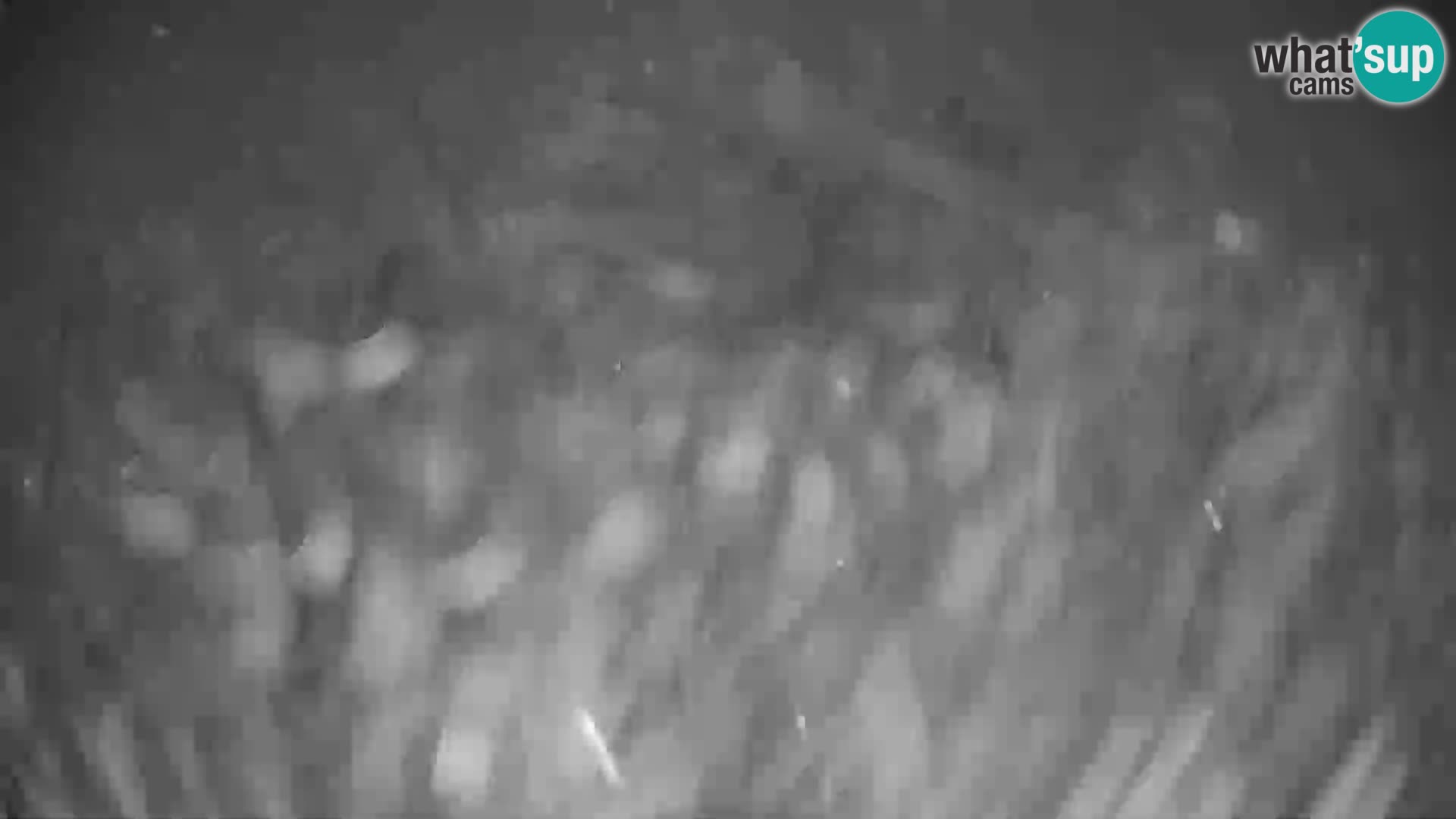 Webcam en direct de la station de ski de GOLTE – vue sur Medvedjak – Slovénie