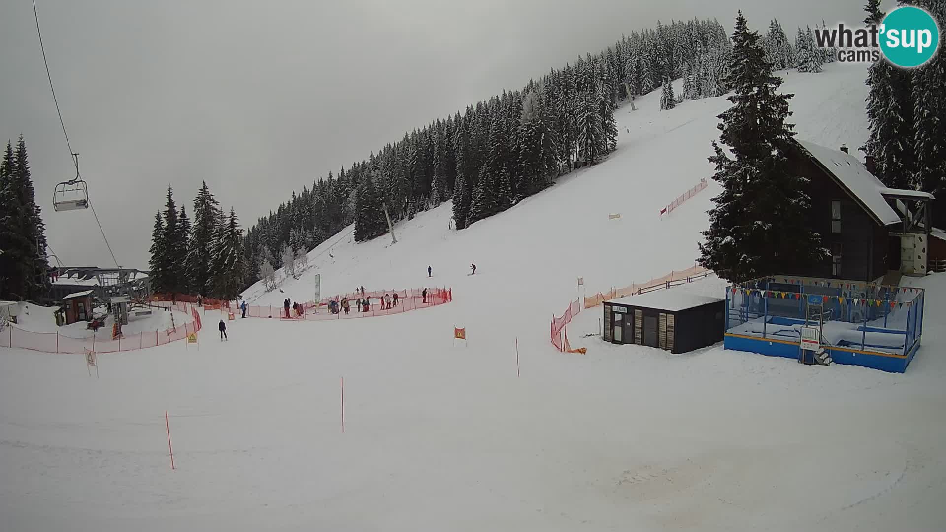 GOLTE Skigebiet webcam – Schöne Aussicht auf Medvedjak – Slowenien