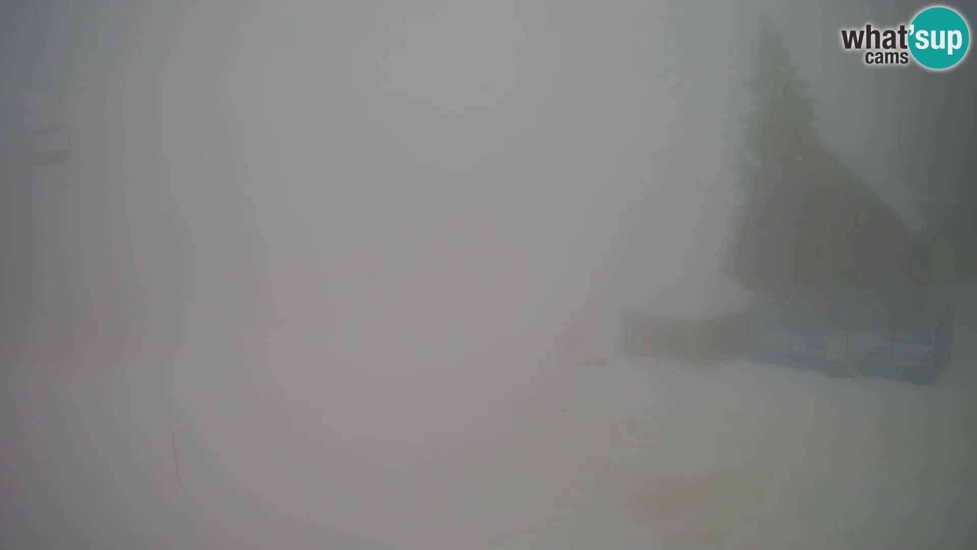 GOLTE stazione sciistica webcam – vista Medvedjak – Slovenia