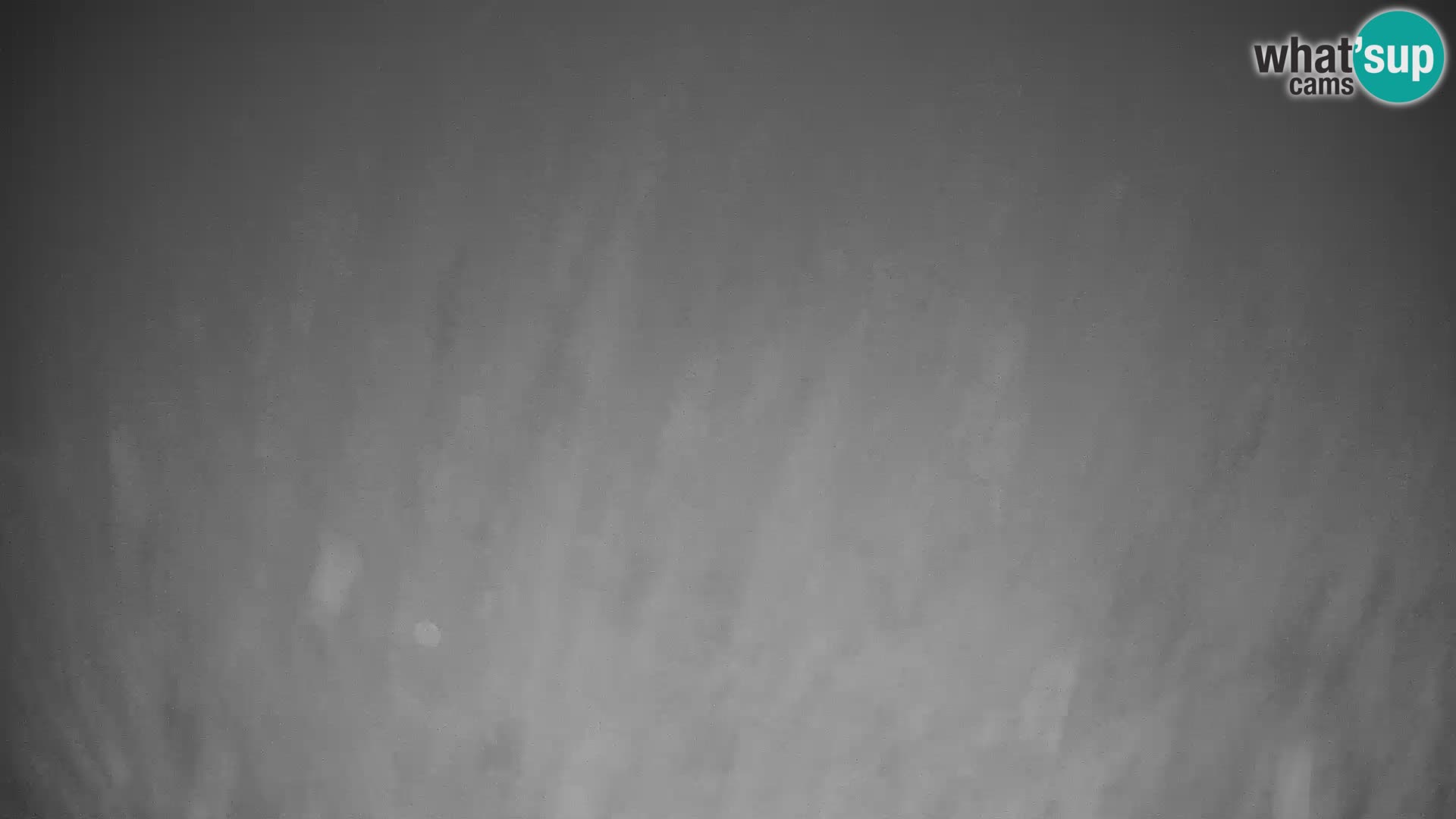 GOLTE Skigebiet webcam – Schöne Aussicht auf Medvedjak – Slowenien