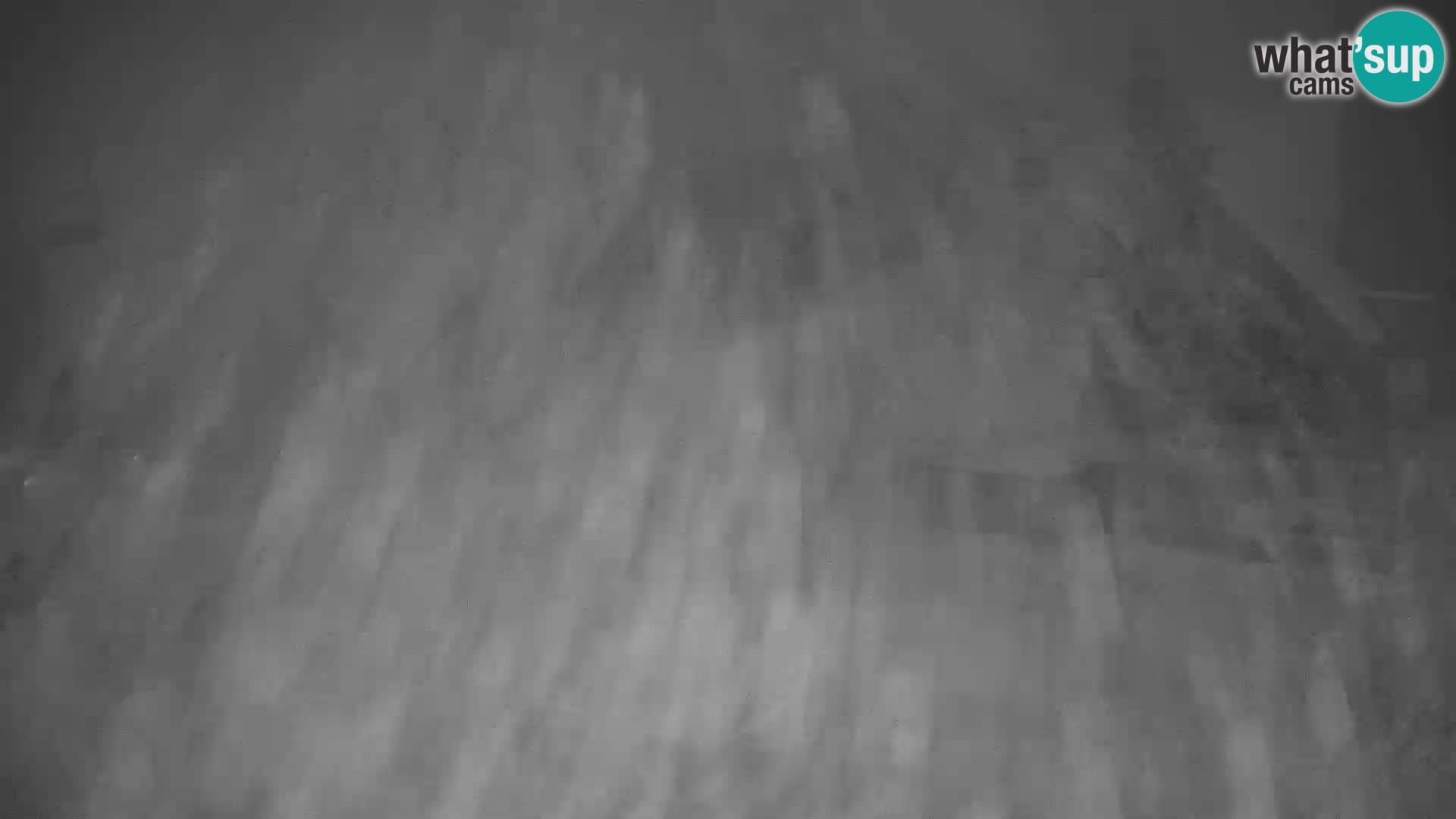 GOLTE Ski resort live webcam – view to Medvedjak – Slovenia