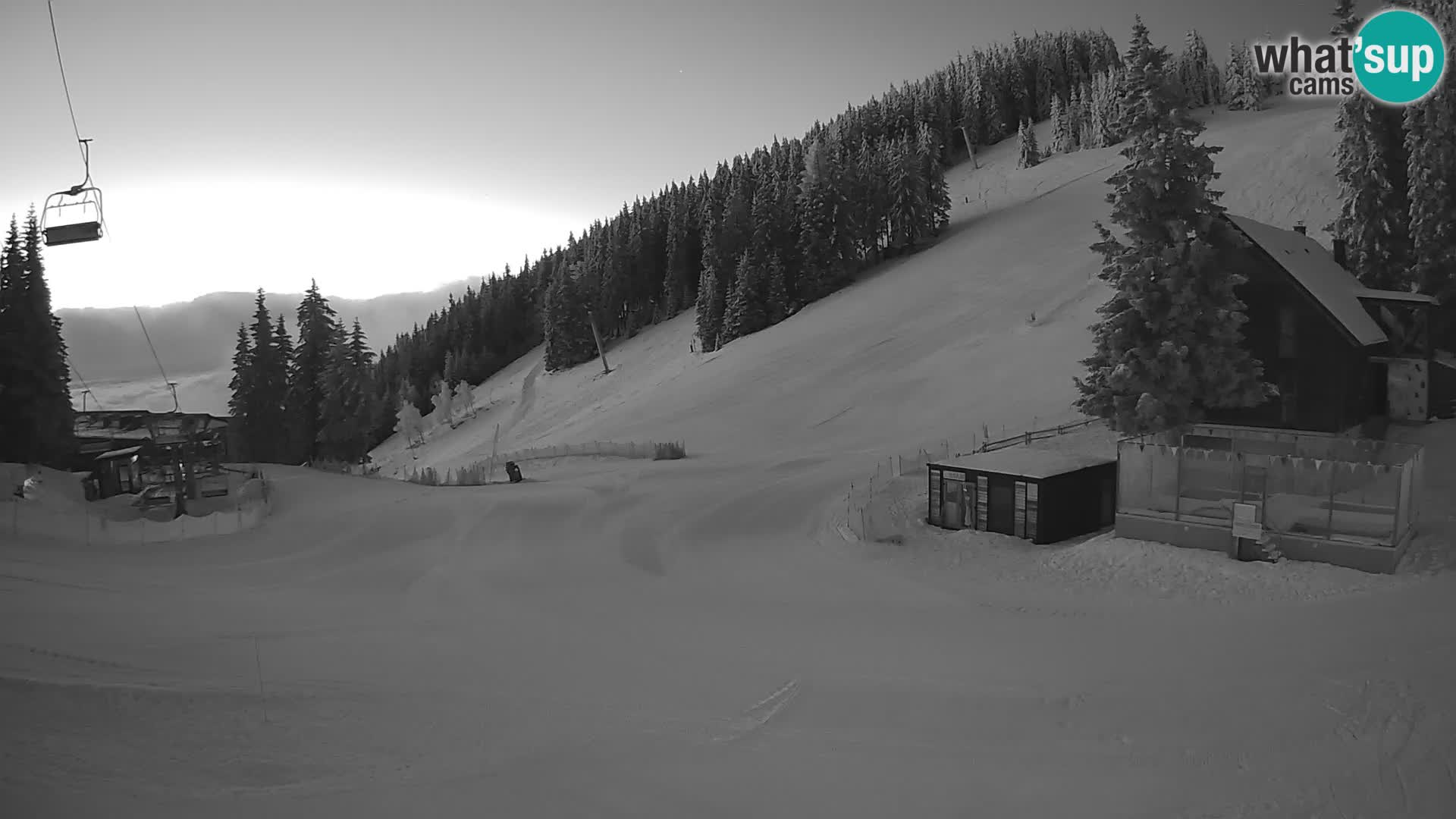 GOLTE Skigebiet webcam – Schöne Aussicht auf Medvedjak – Slowenien