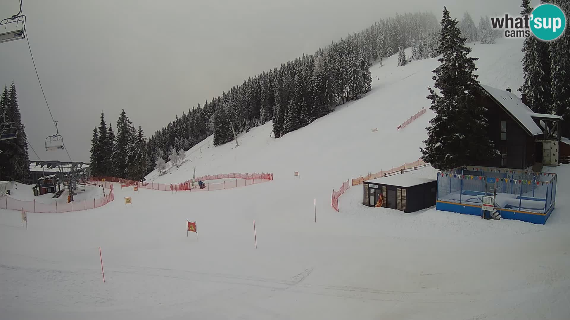 GOLTE Skigebiet webcam – Schöne Aussicht auf Medvedjak – Slowenien