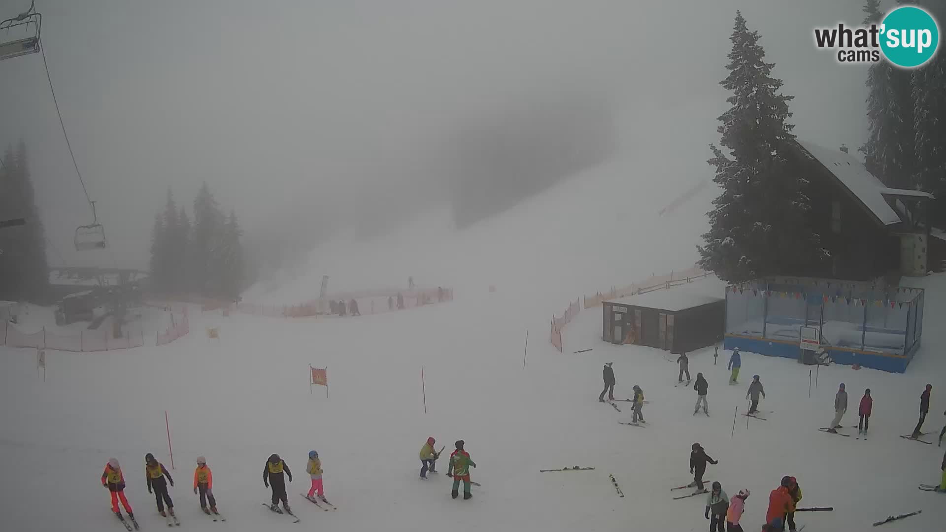 GOLTE stazione sciistica webcam – vista Medvedjak – Slovenia