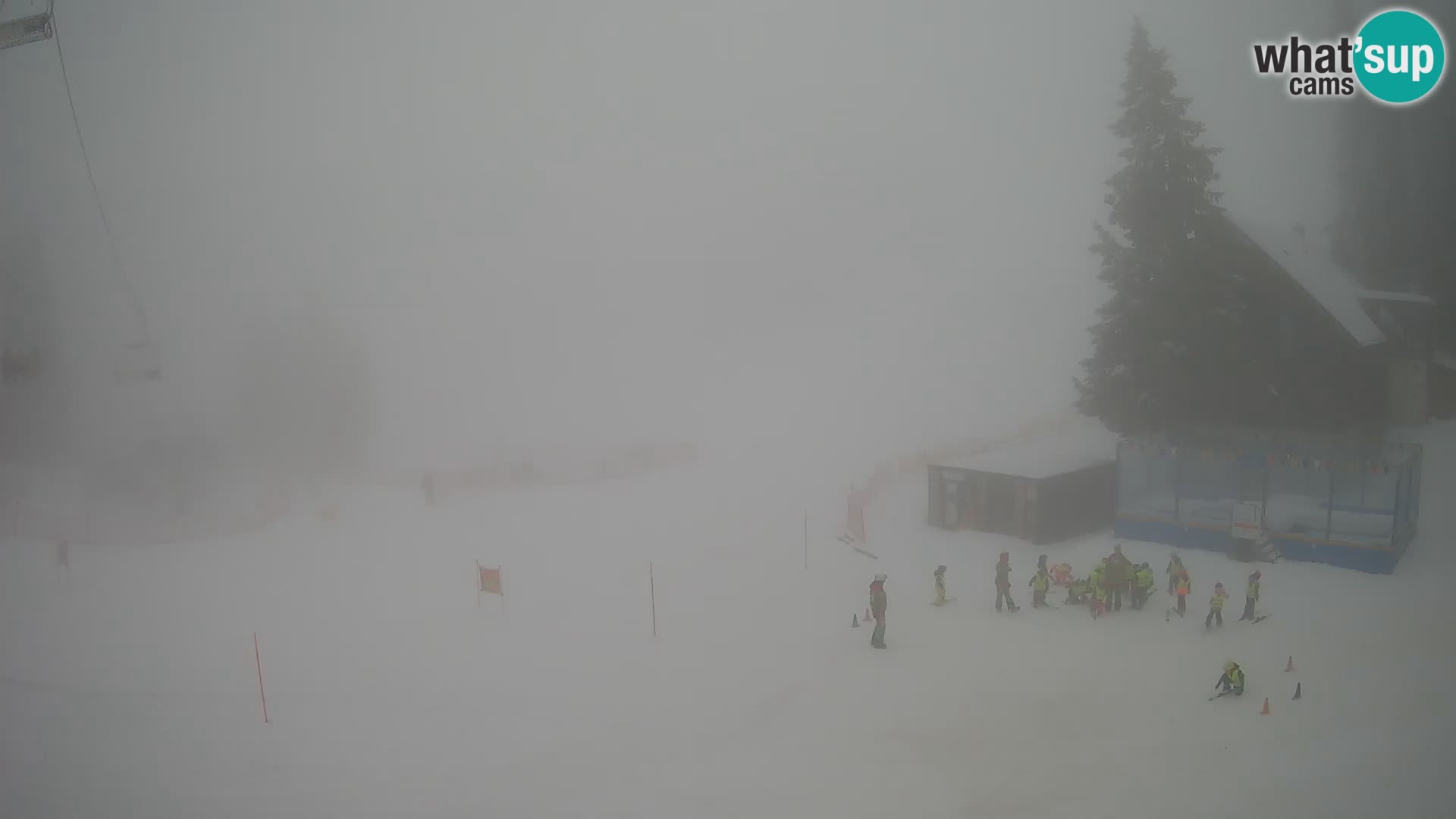 GOLTE stazione sciistica webcam – vista Medvedjak – Slovenia