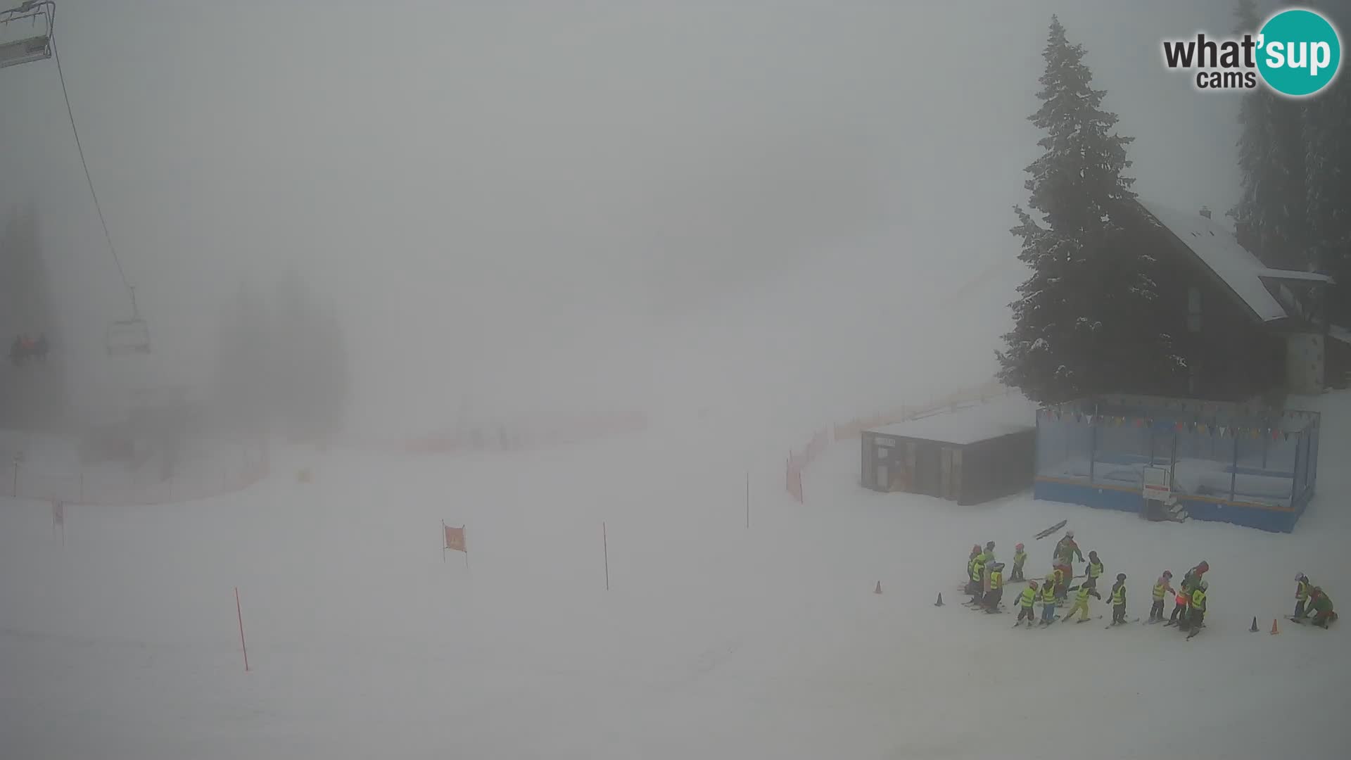 GOLTE Skigebiet webcam – Schöne Aussicht auf Medvedjak – Slowenien