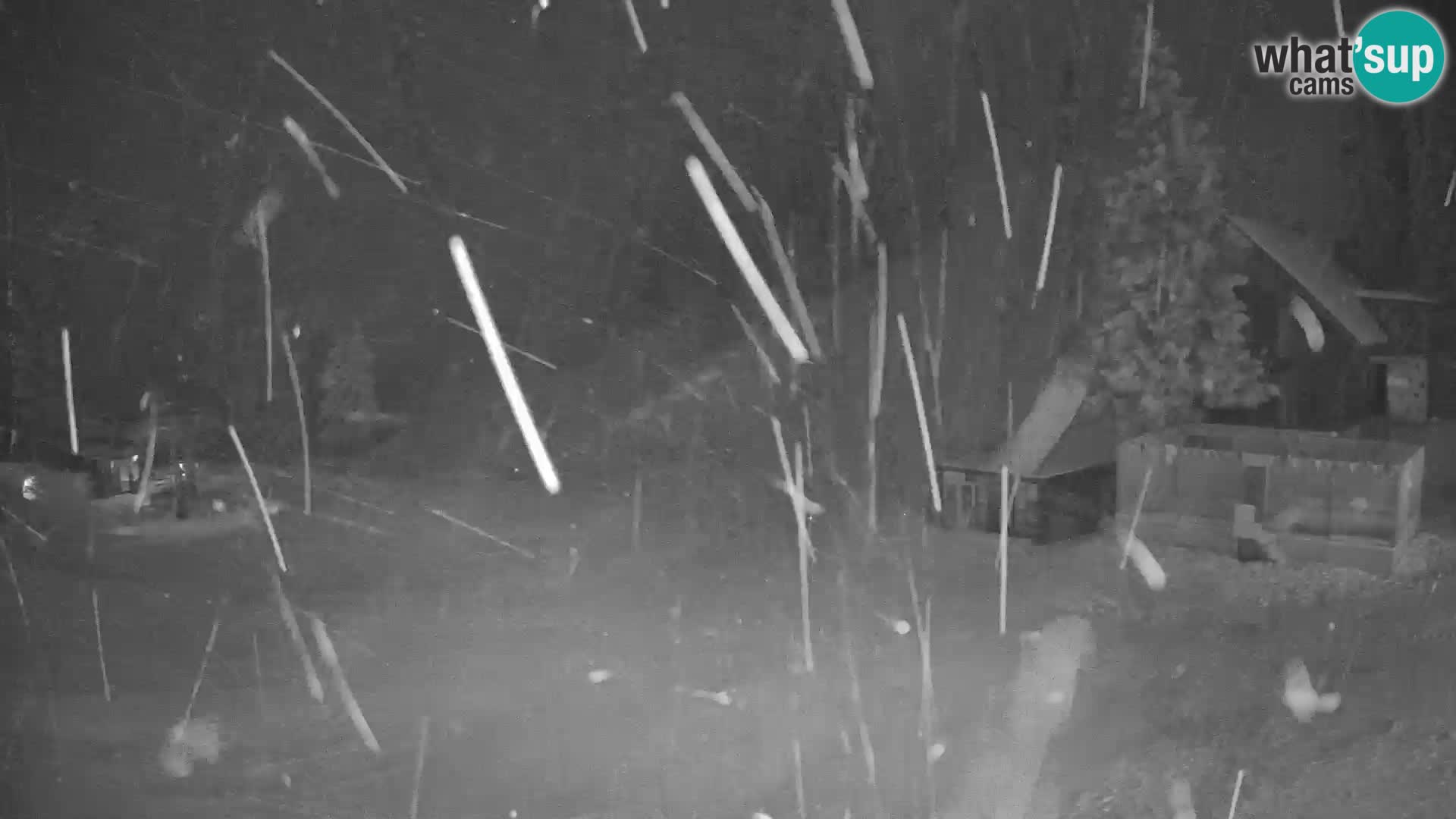 Spletna kamera smučišča GOLTE v živo – pogled na Medvedjak