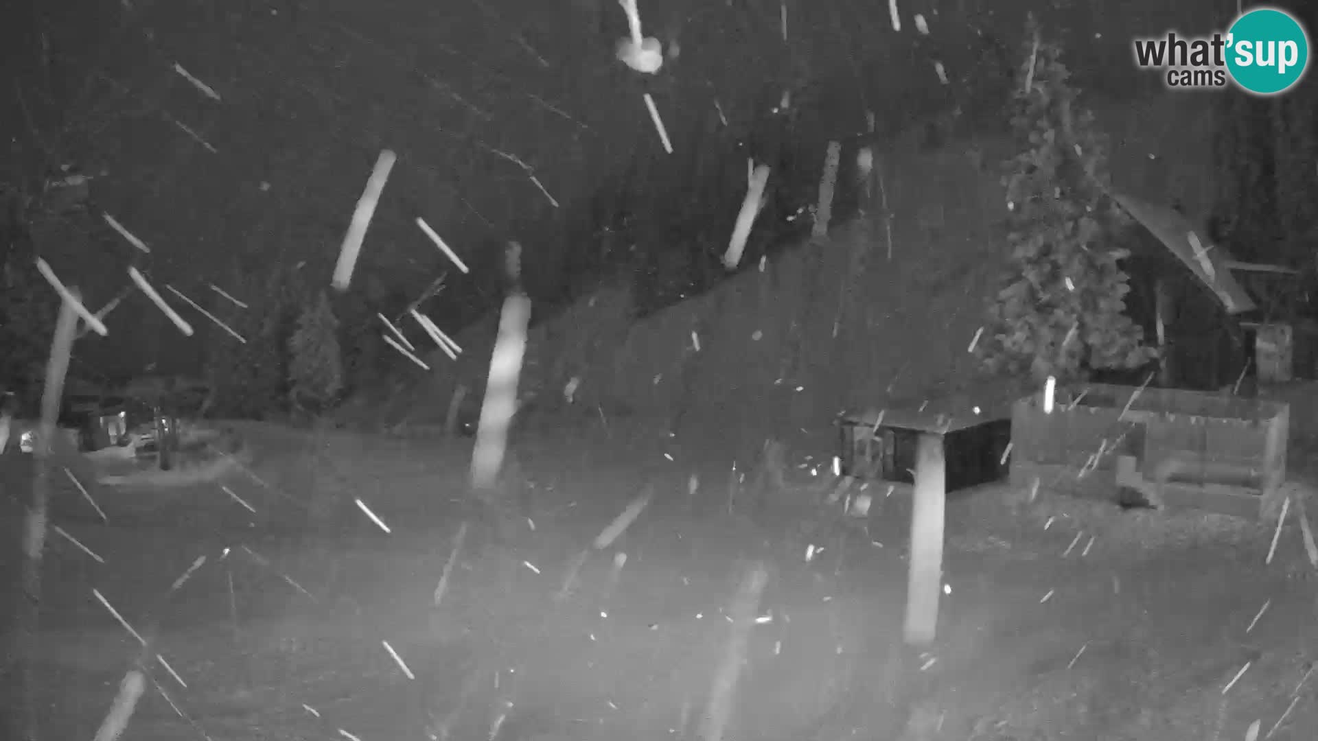 GOLTE stazione sciistica webcam – vista Medvedjak – Slovenia