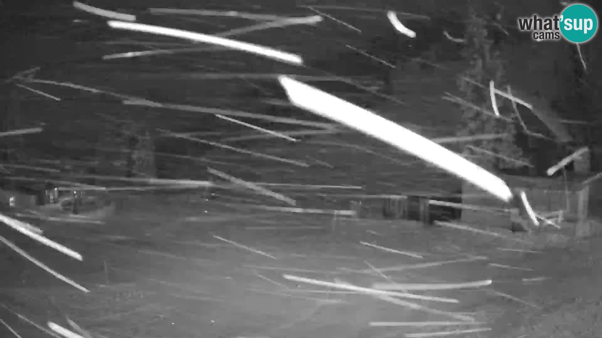 GOLTE stazione sciistica webcam – vista Medvedjak – Slovenia