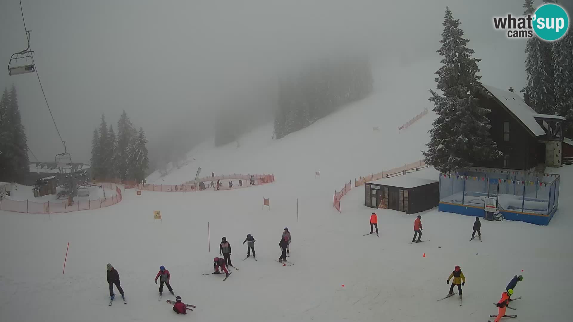 GOLTE Skigebiet webcam – Schöne Aussicht auf Medvedjak – Slowenien