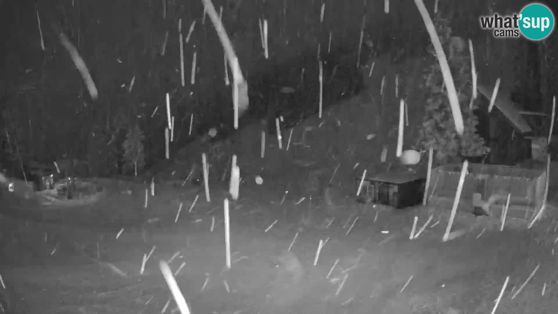 GOLTE stazione sciistica webcam – vista Medvedjak – Slovenia