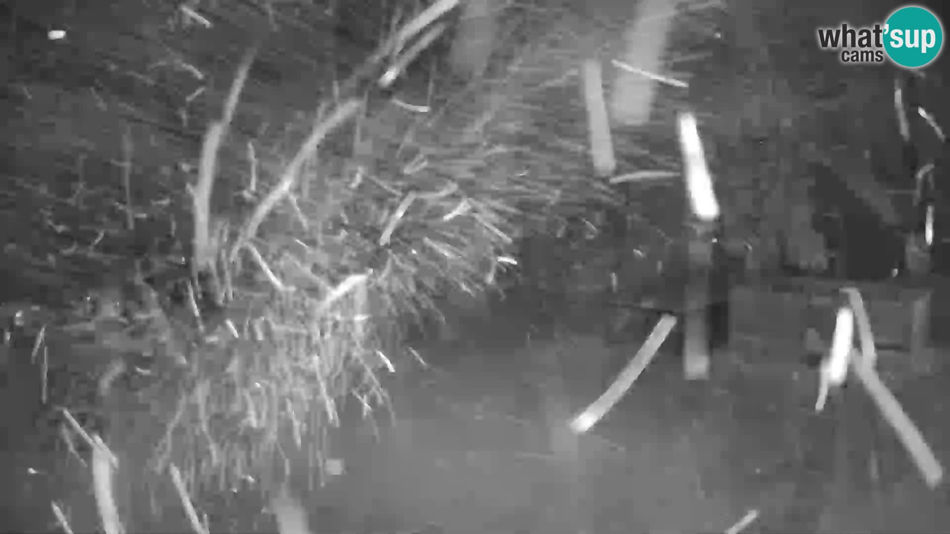 GOLTE Ski resort live webcam – view to Medvedjak – Slovenia