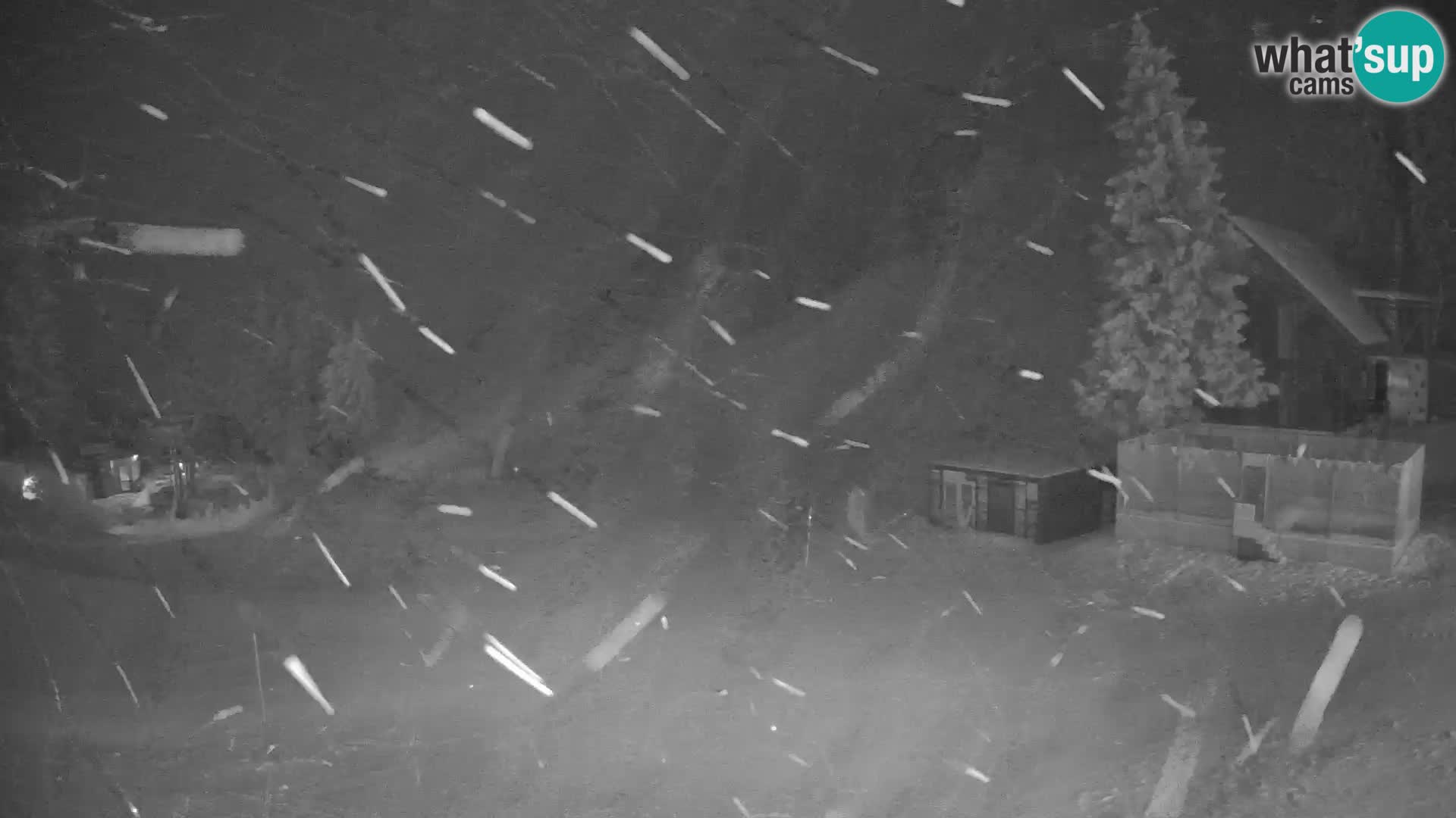 GOLTE Skigebiet webcam – Schöne Aussicht auf Medvedjak – Slowenien