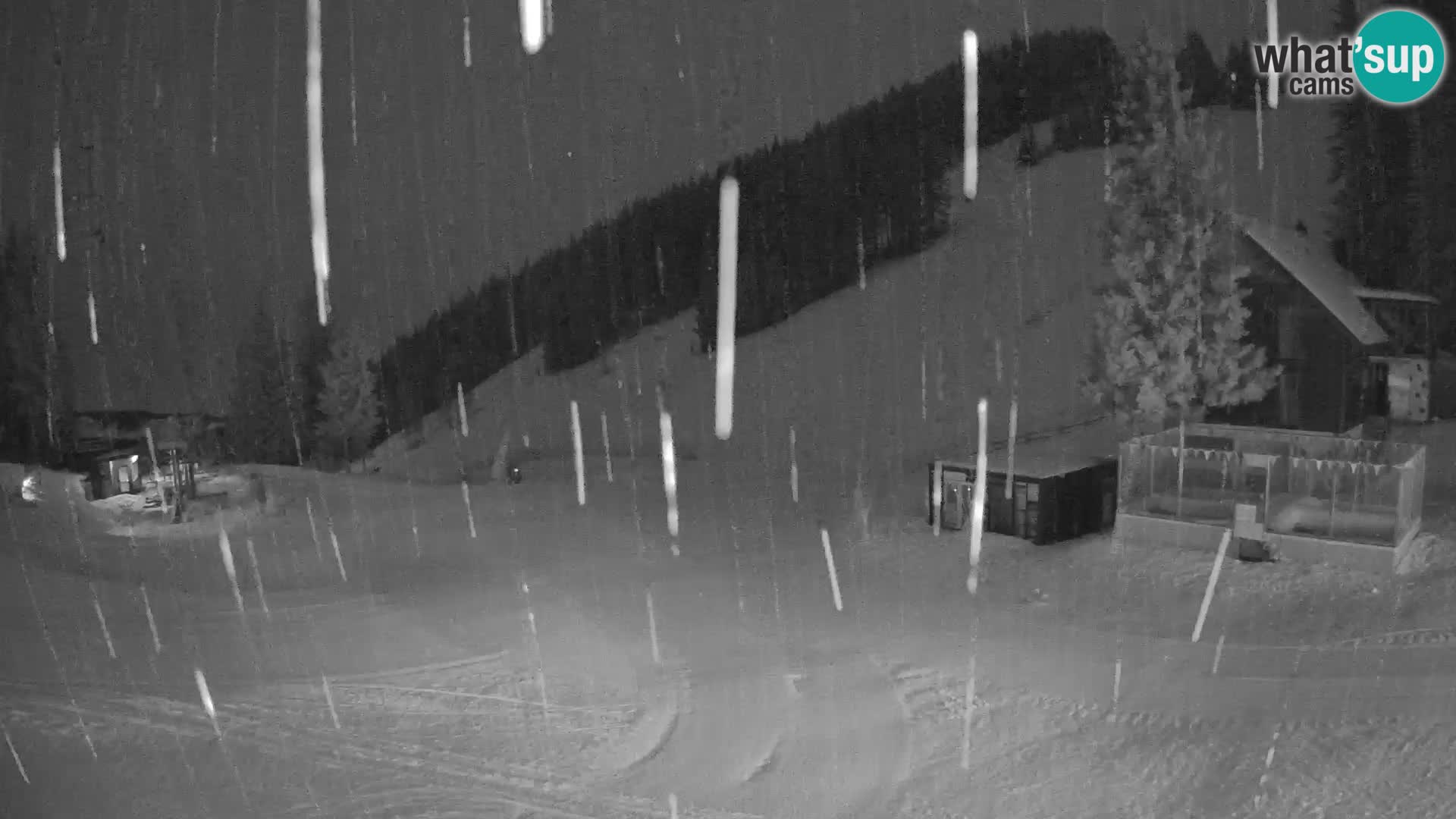 GOLTE Skigebiet webcam – Schöne Aussicht auf Medvedjak – Slowenien