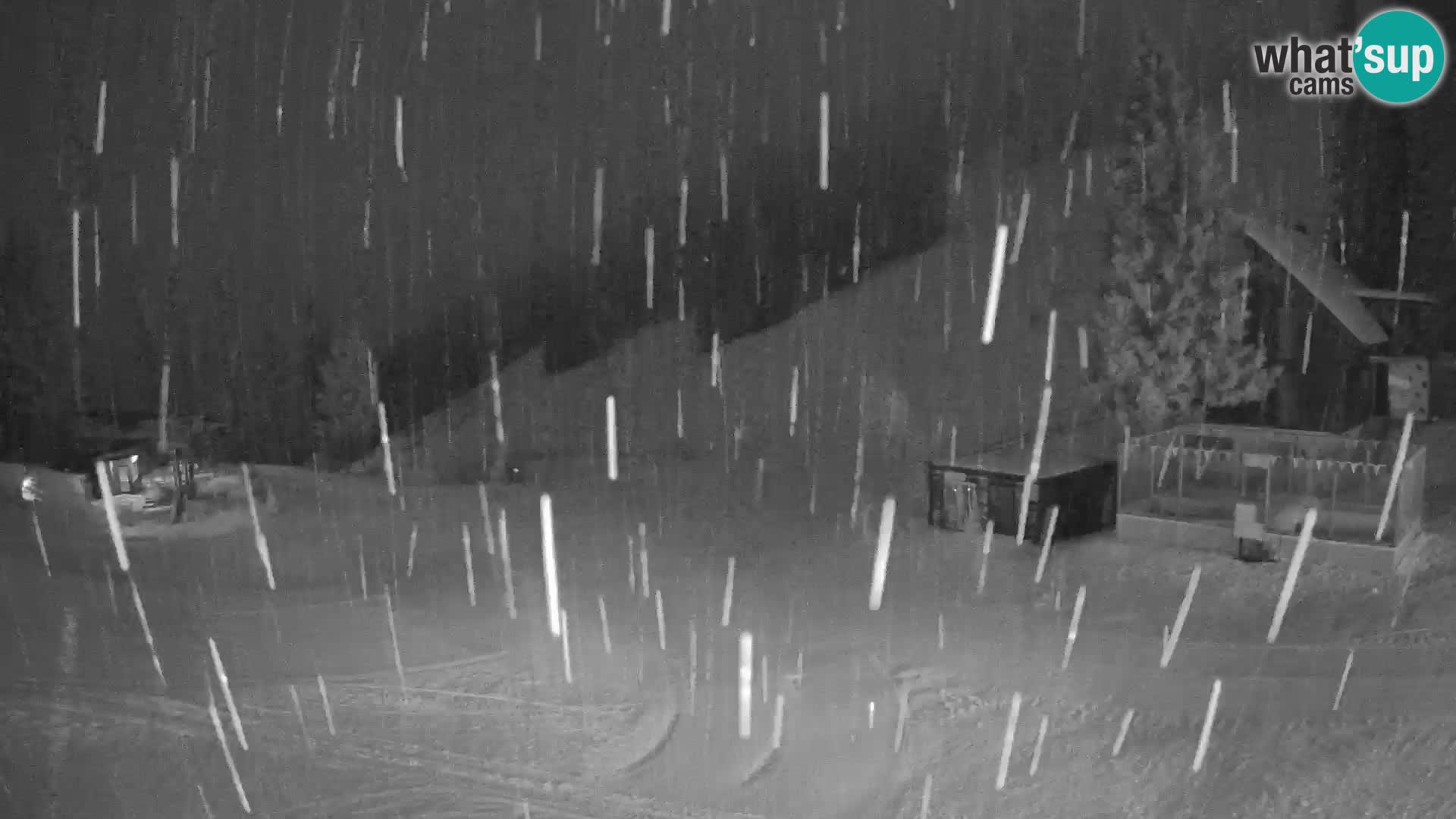 GOLTE Skigebiet webcam – Schöne Aussicht auf Medvedjak – Slowenien