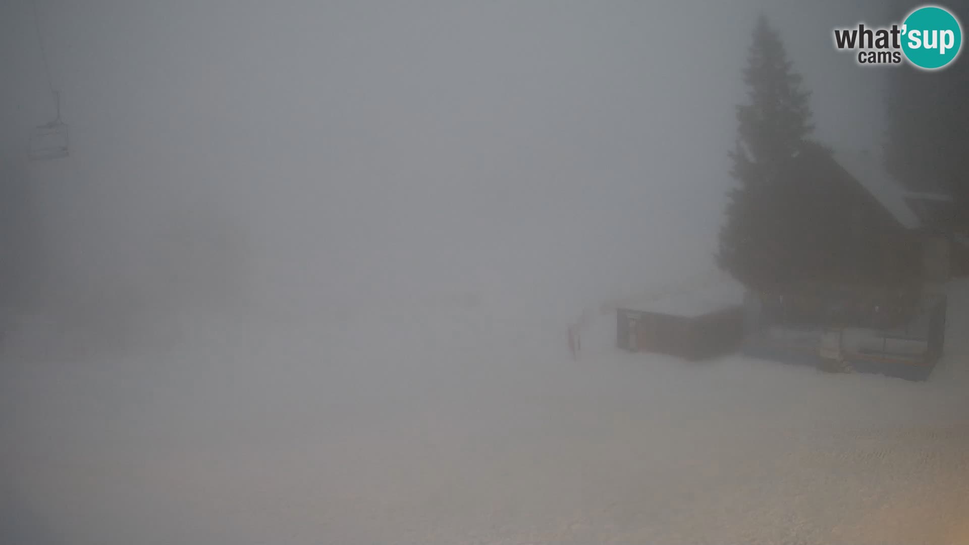 GOLTE Skigebiet webcam – Schöne Aussicht auf Medvedjak – Slowenien
