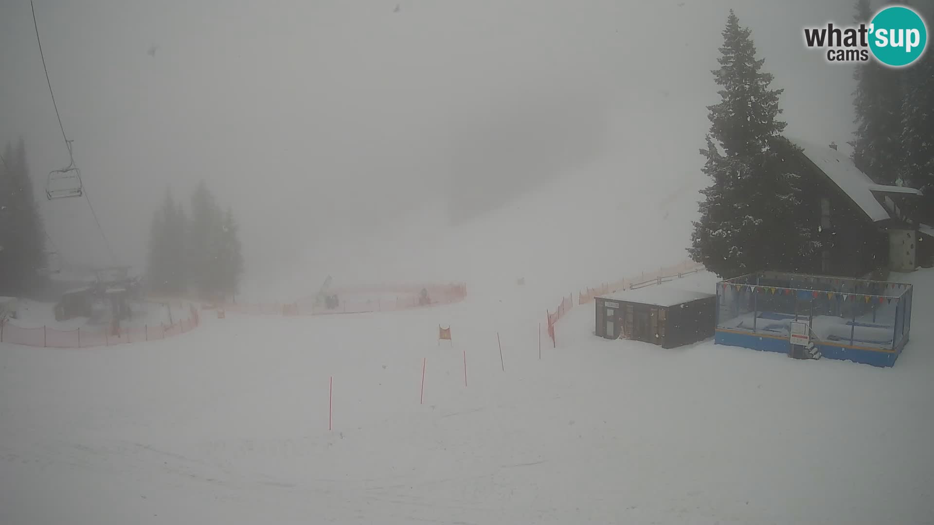 GOLTE Skigebiet webcam – Schöne Aussicht auf Medvedjak – Slowenien