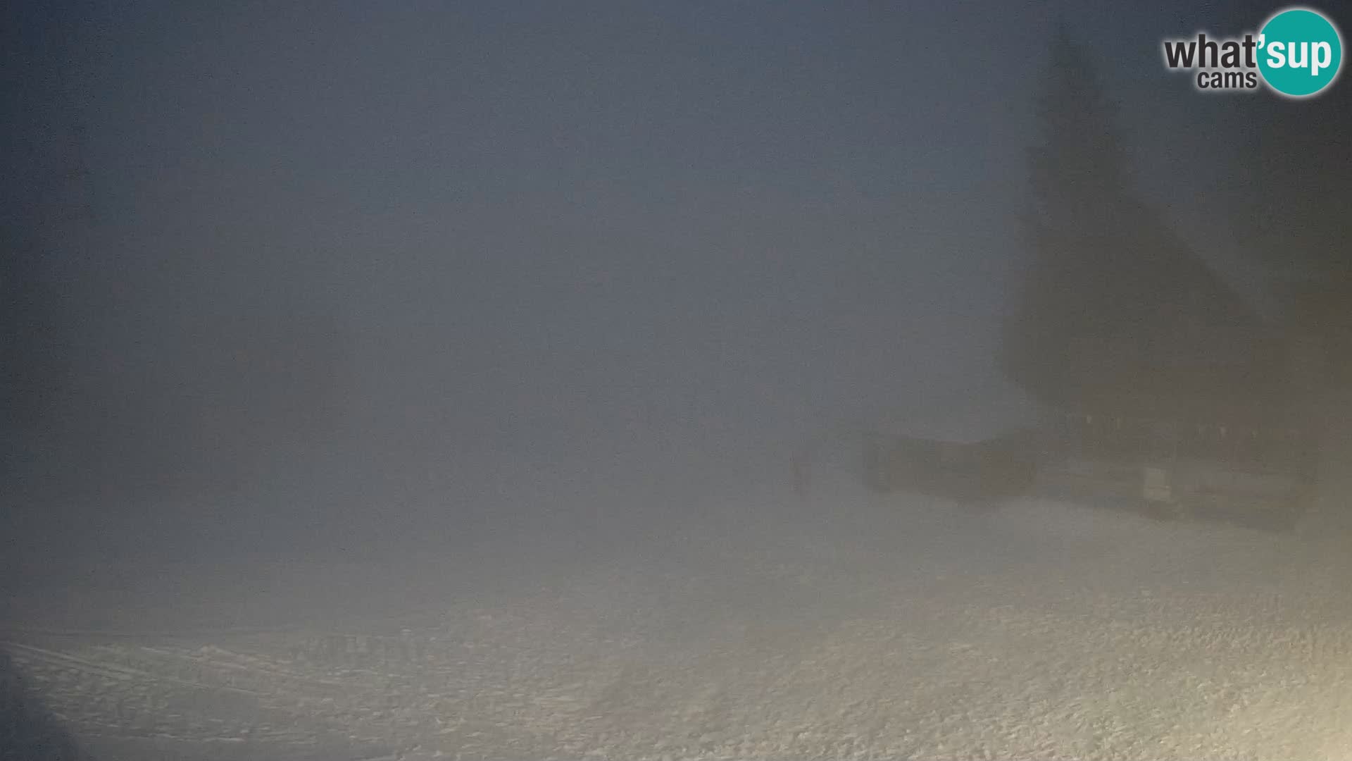 Spletna kamera smučišča GOLTE v živo – pogled na Medvedjak