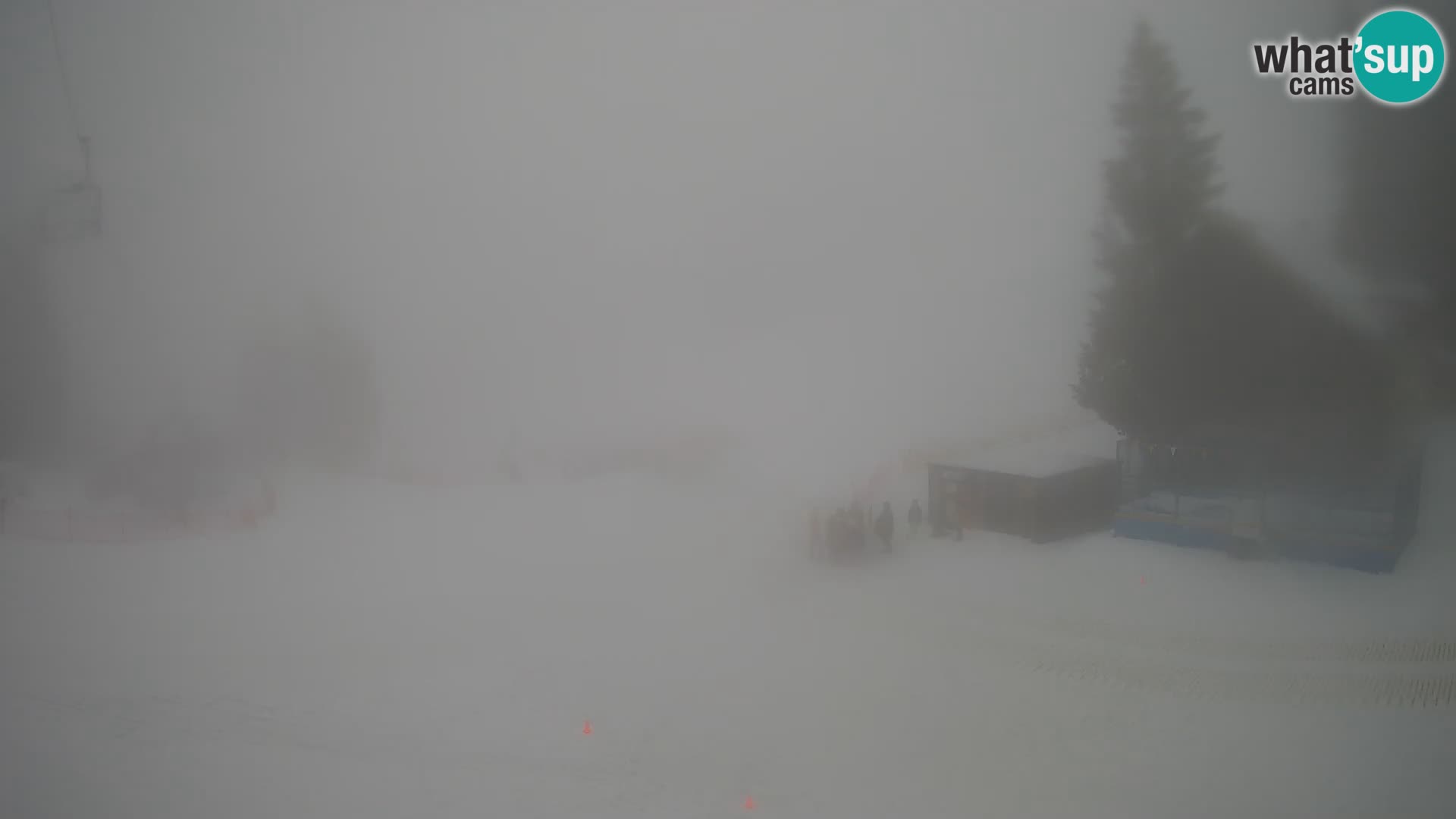 Spletna kamera smučišča GOLTE v živo – pogled na Medvedjak