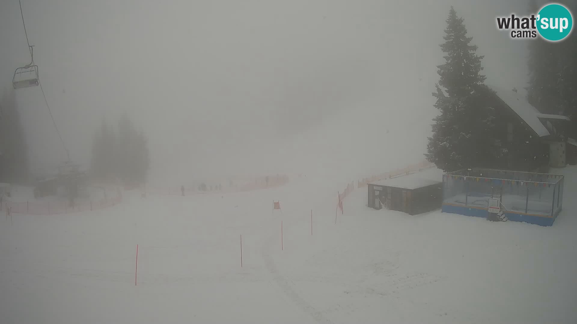 GOLTE Skigebiet webcam – Schöne Aussicht auf Medvedjak – Slowenien