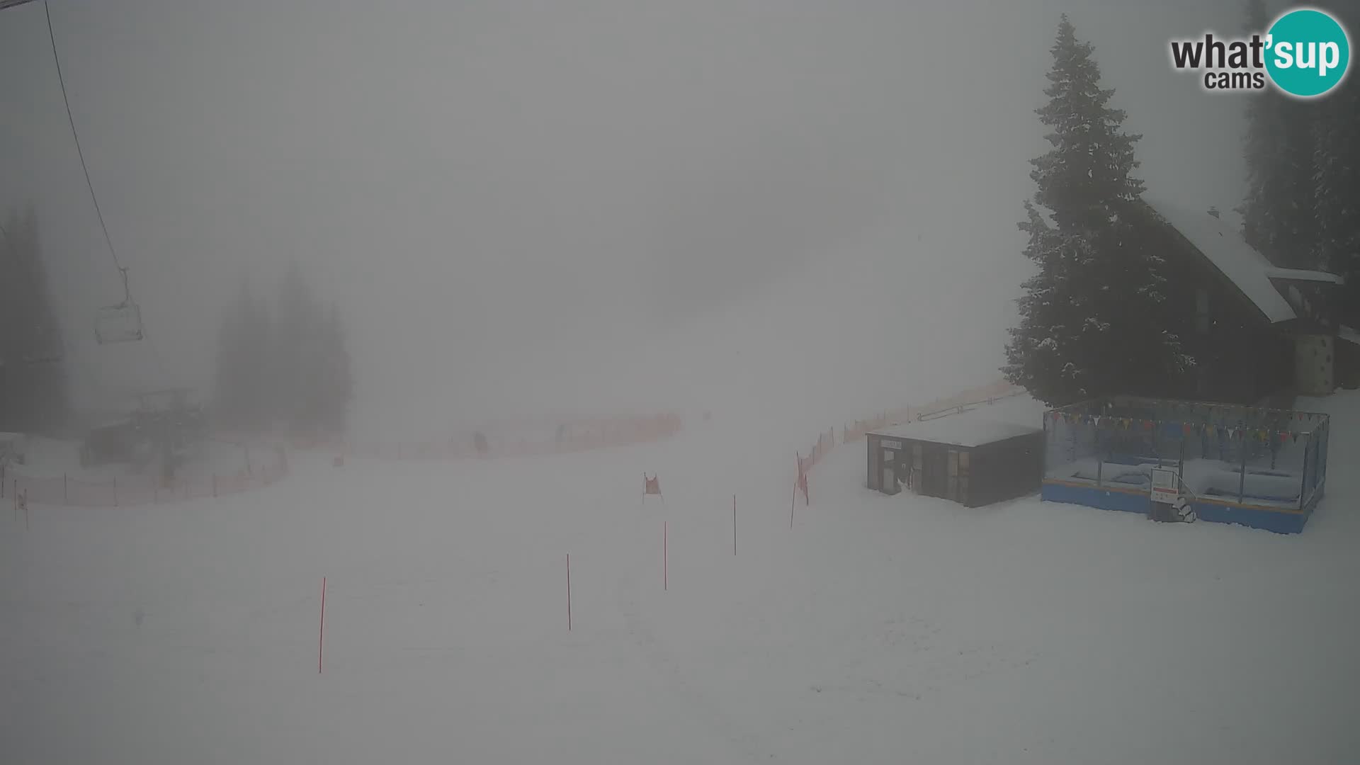 GOLTE Skigebiet webcam – Schöne Aussicht auf Medvedjak – Slowenien