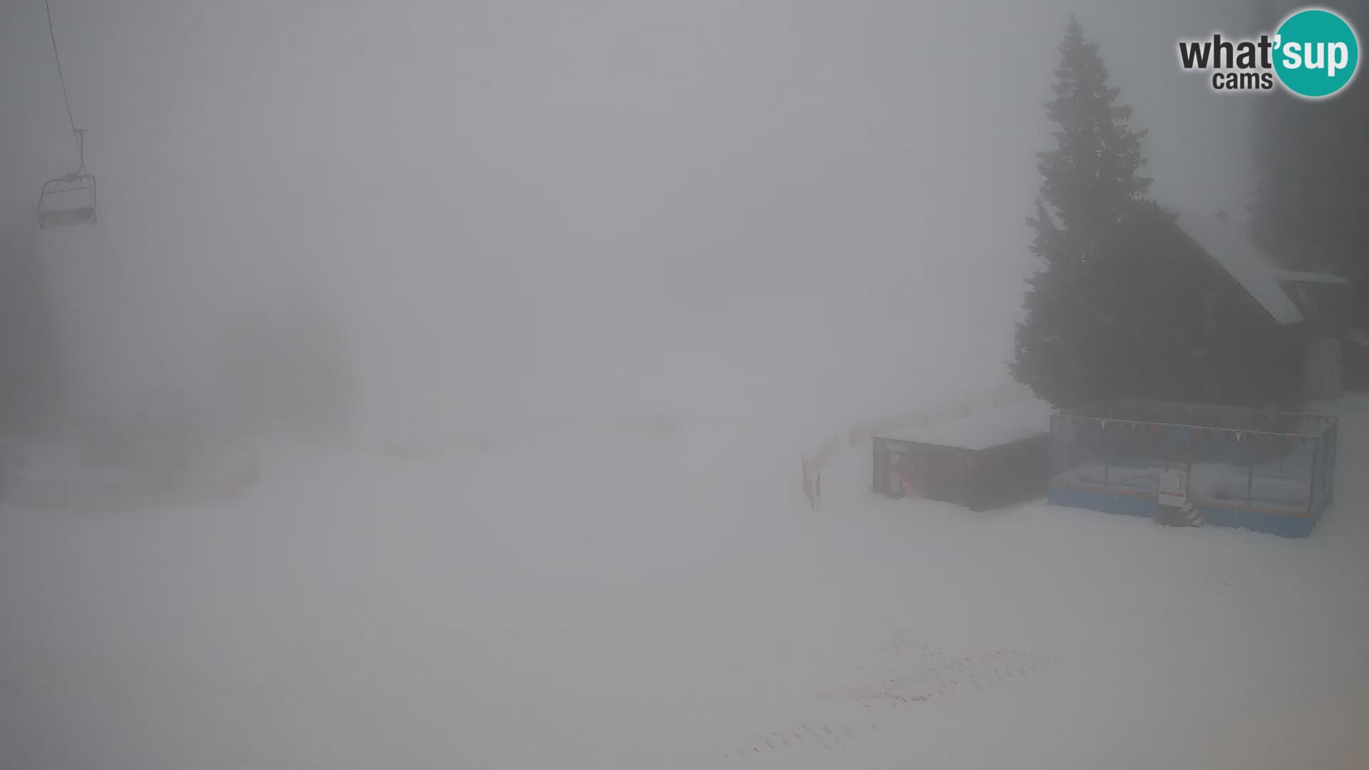 GOLTE Skigebiet webcam – Schöne Aussicht auf Medvedjak – Slowenien