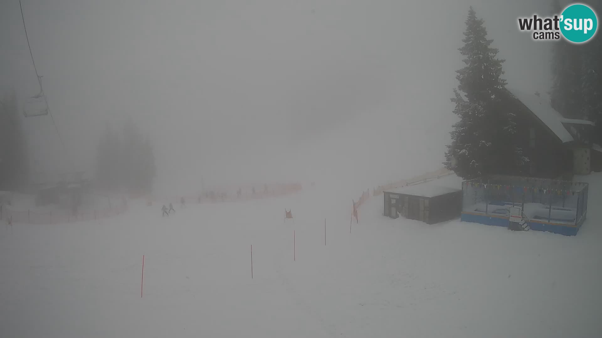 GOLTE stazione sciistica webcam – vista Medvedjak – Slovenia