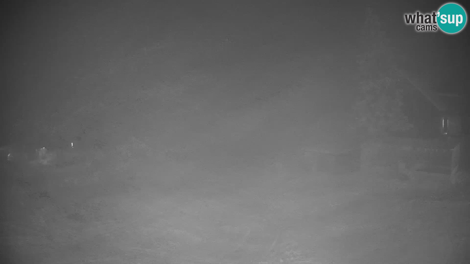 GOLTE stazione sciistica webcam – vista Medvedjak – Slovenia