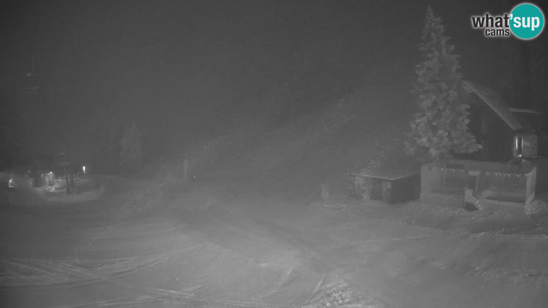 GOLTE Skigebiet webcam – Schöne Aussicht auf Medvedjak – Slowenien