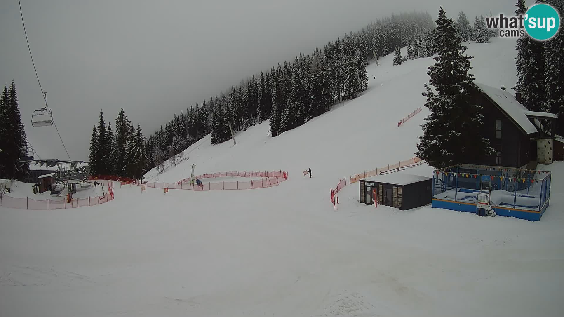 GOLTE Skigebiet webcam – Schöne Aussicht auf Medvedjak – Slowenien