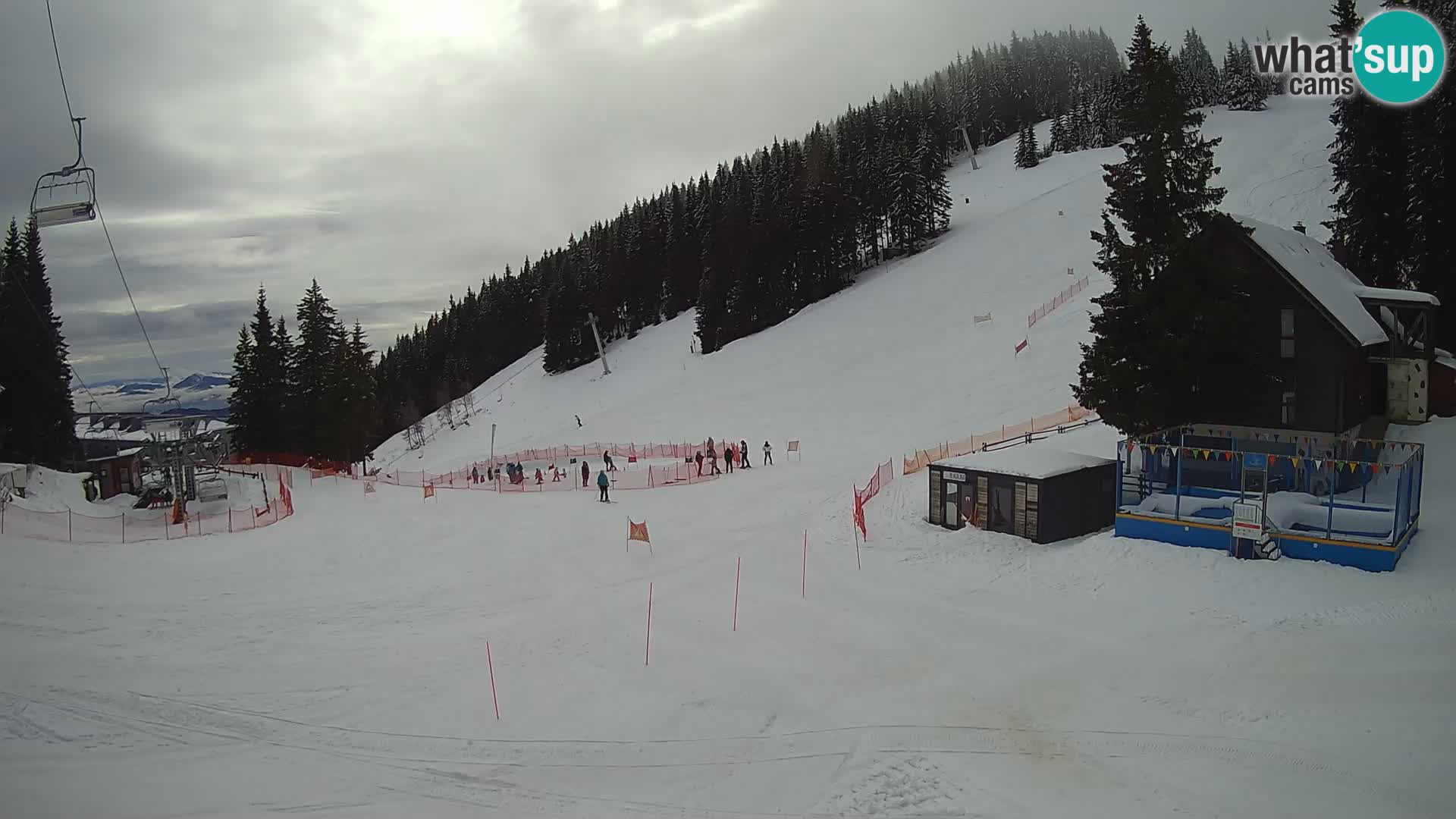 GOLTE stazione sciistica webcam – vista Medvedjak – Slovenia