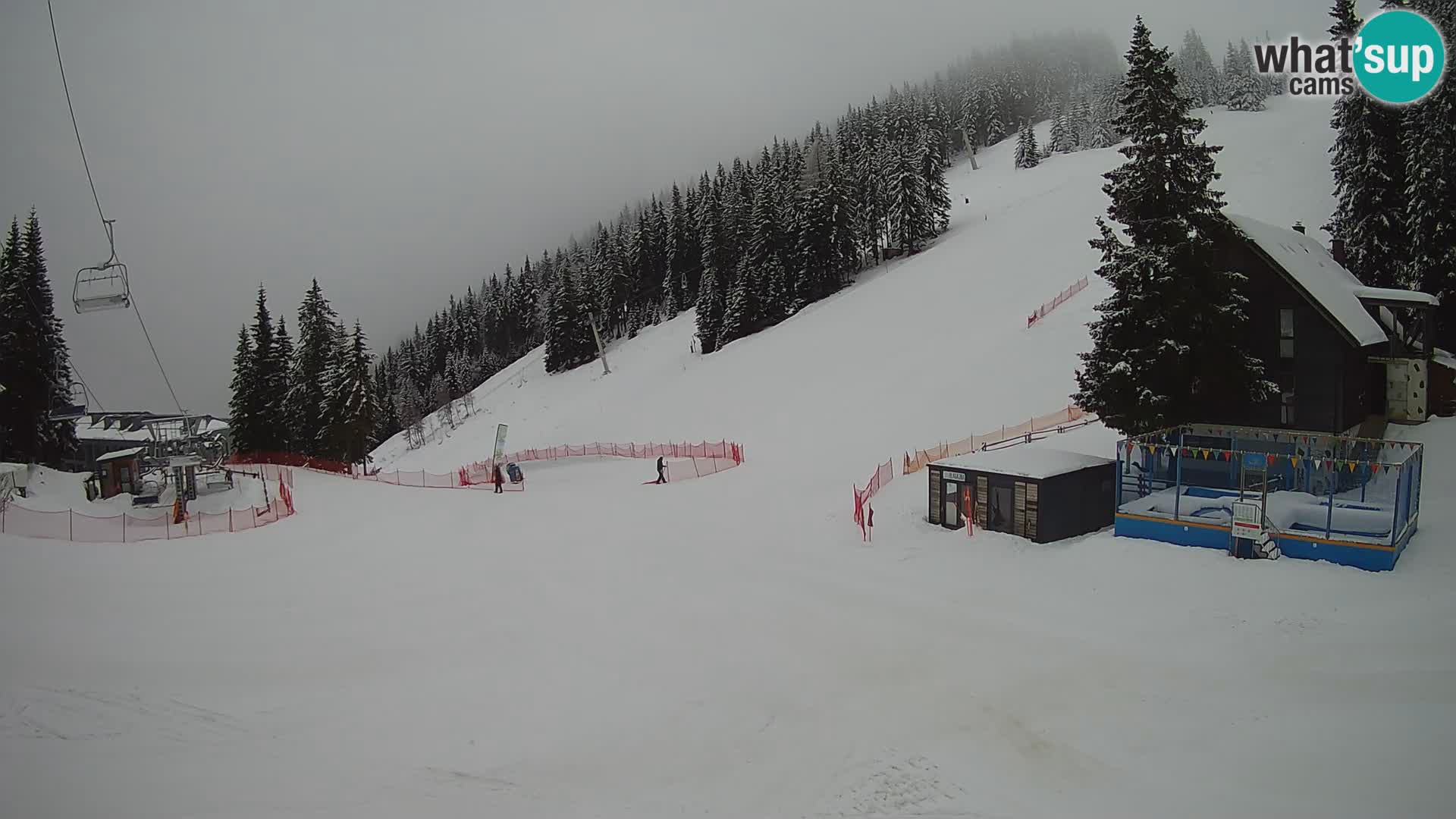 GOLTE Skigebiet webcam – Schöne Aussicht auf Medvedjak – Slowenien