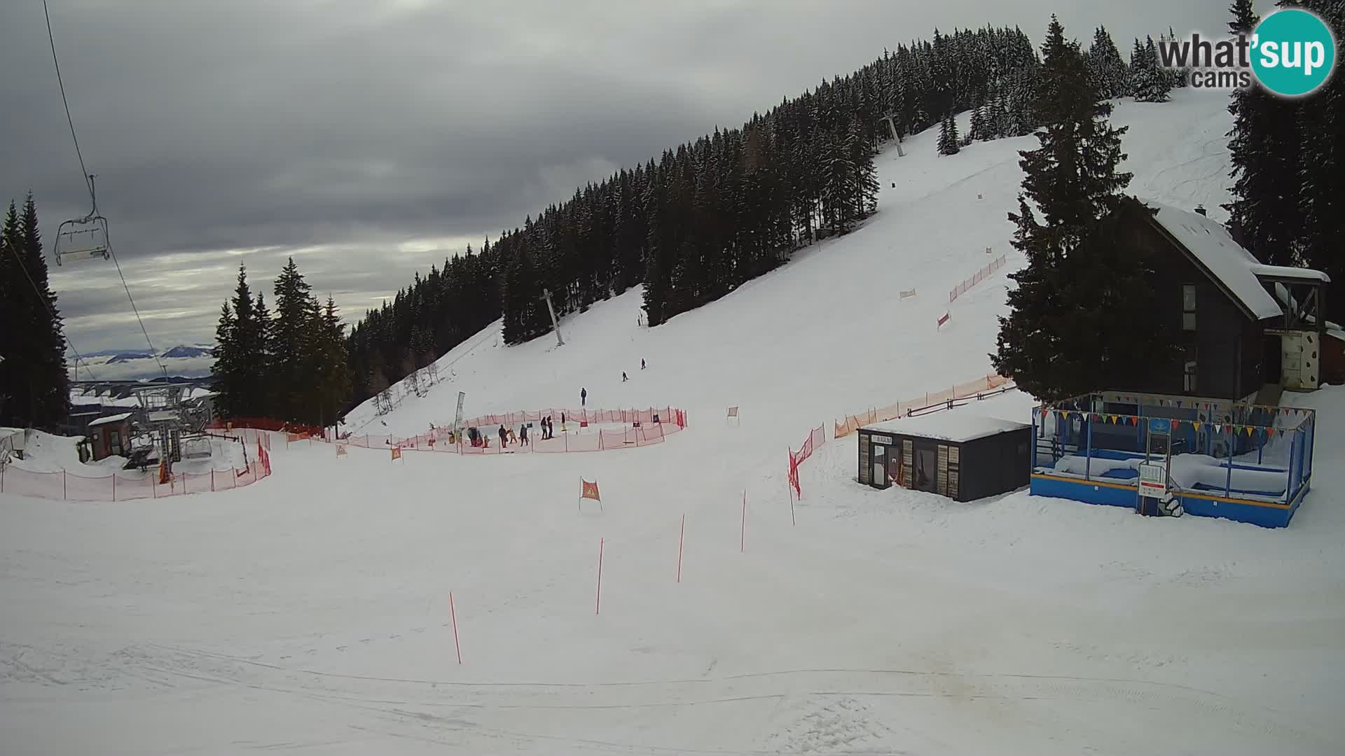 GOLTE Skigebiet webcam – Schöne Aussicht auf Medvedjak – Slowenien