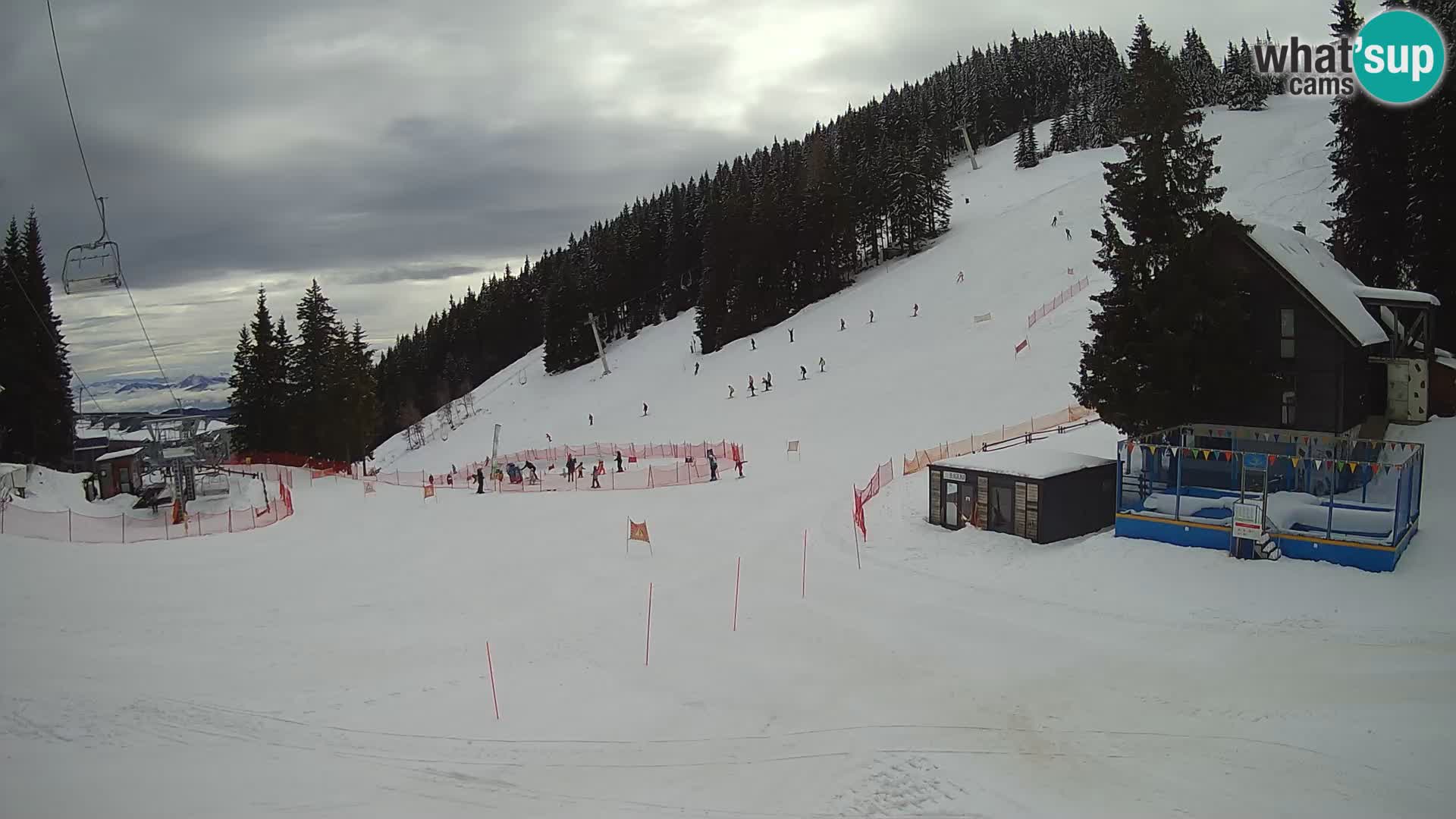 GOLTE stazione sciistica webcam – vista Medvedjak – Slovenia