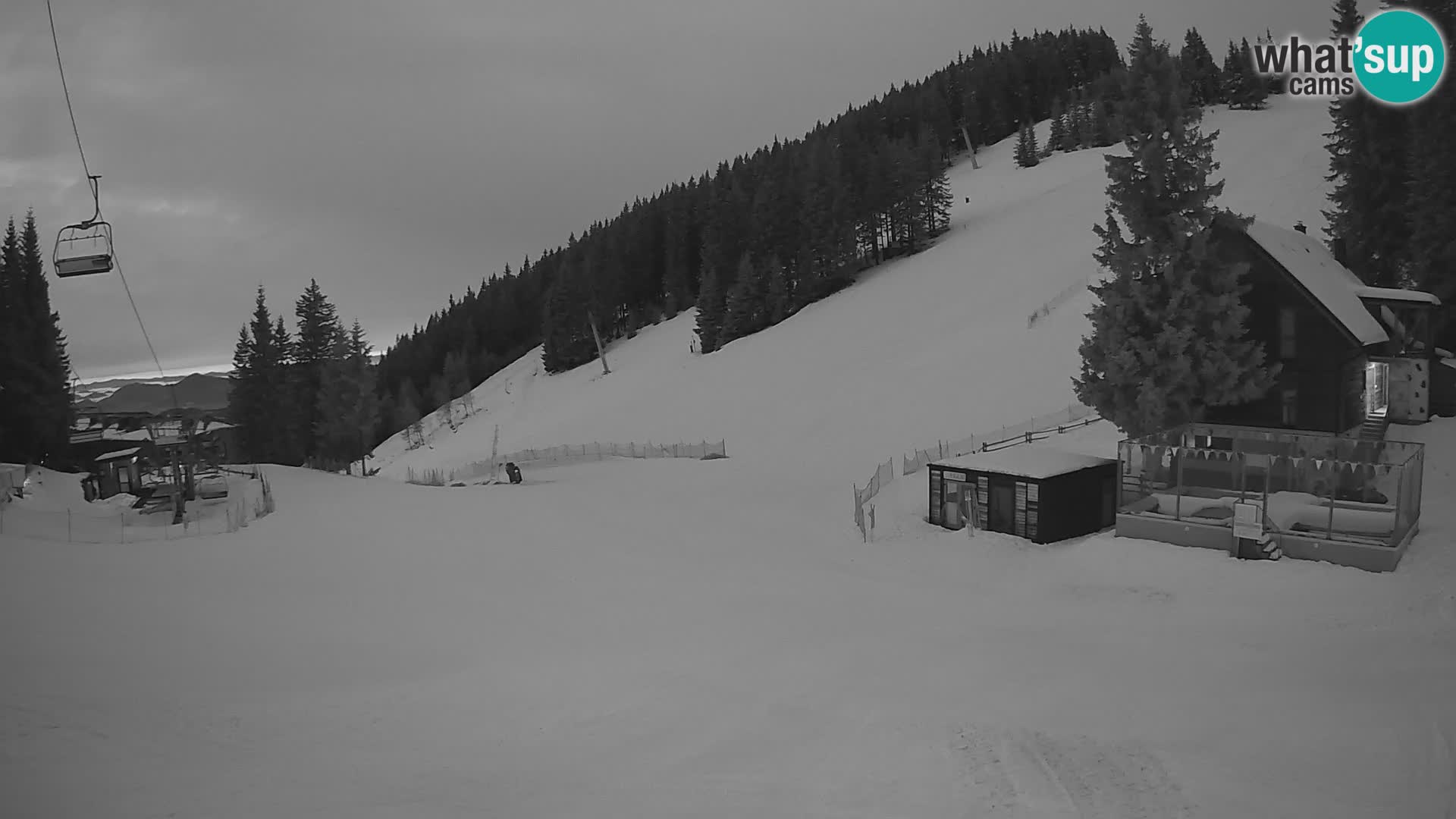 Spletna kamera smučišča GOLTE v živo – pogled na Medvedjak