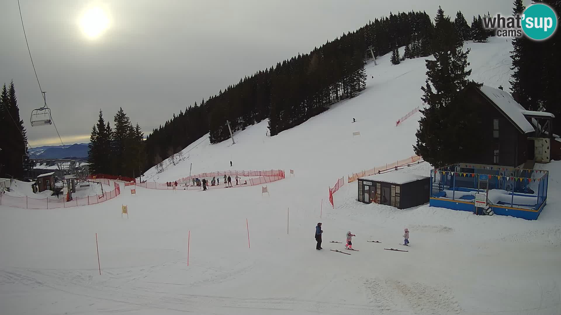 GOLTE Skigebiet webcam – Schöne Aussicht auf Medvedjak – Slowenien