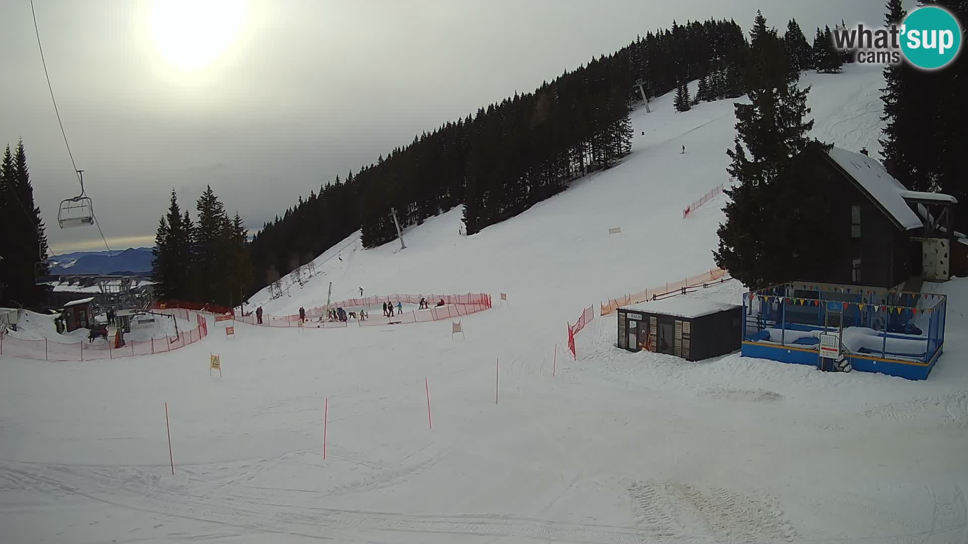 GOLTE skijalište web kamera – pogled na Medvedjak – Slovenija