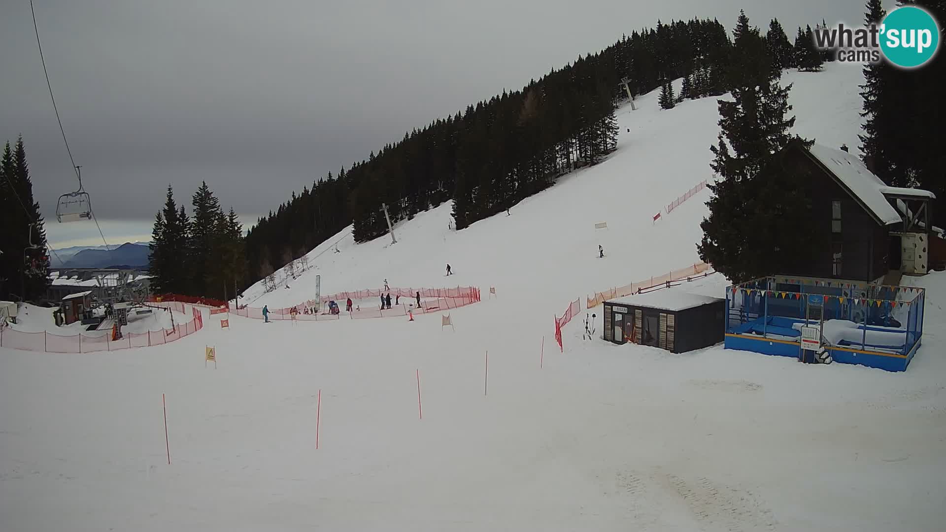 GOLTE stazione sciistica webcam – vista Medvedjak – Slovenia