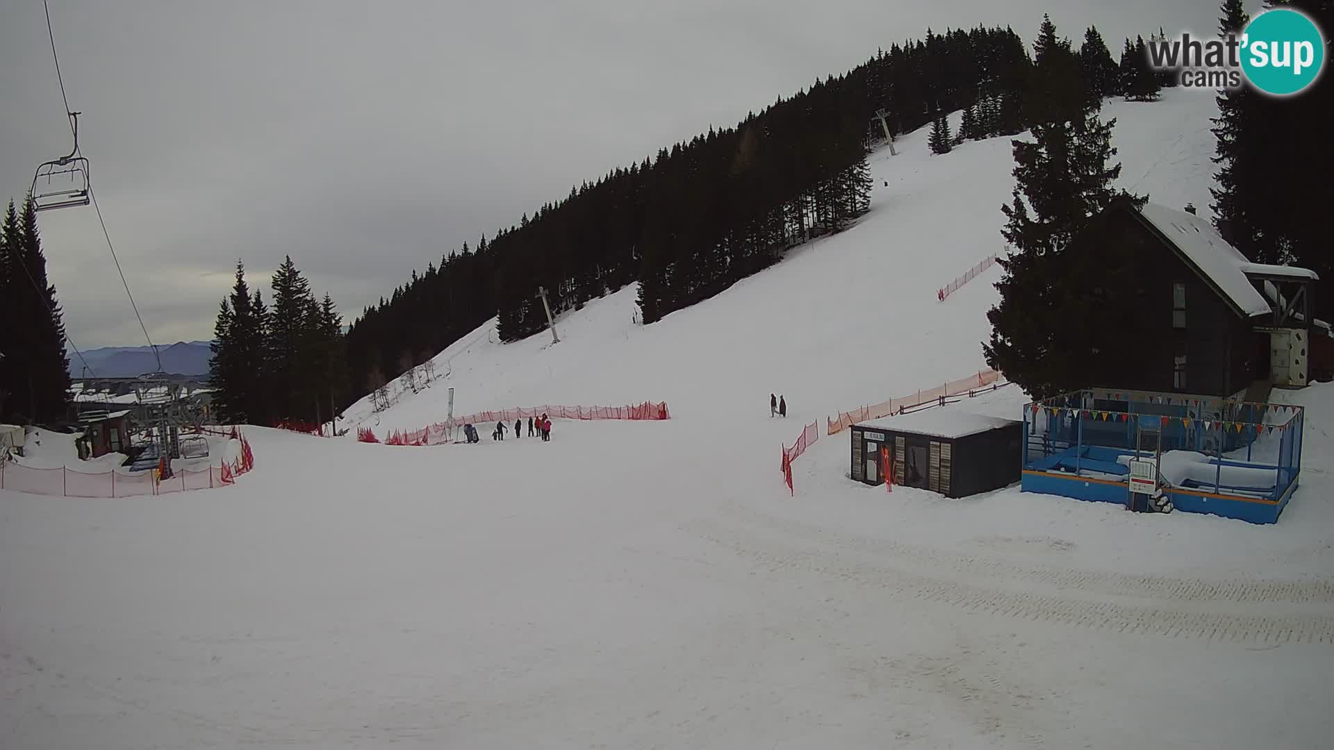 GOLTE stazione sciistica webcam – vista Medvedjak – Slovenia