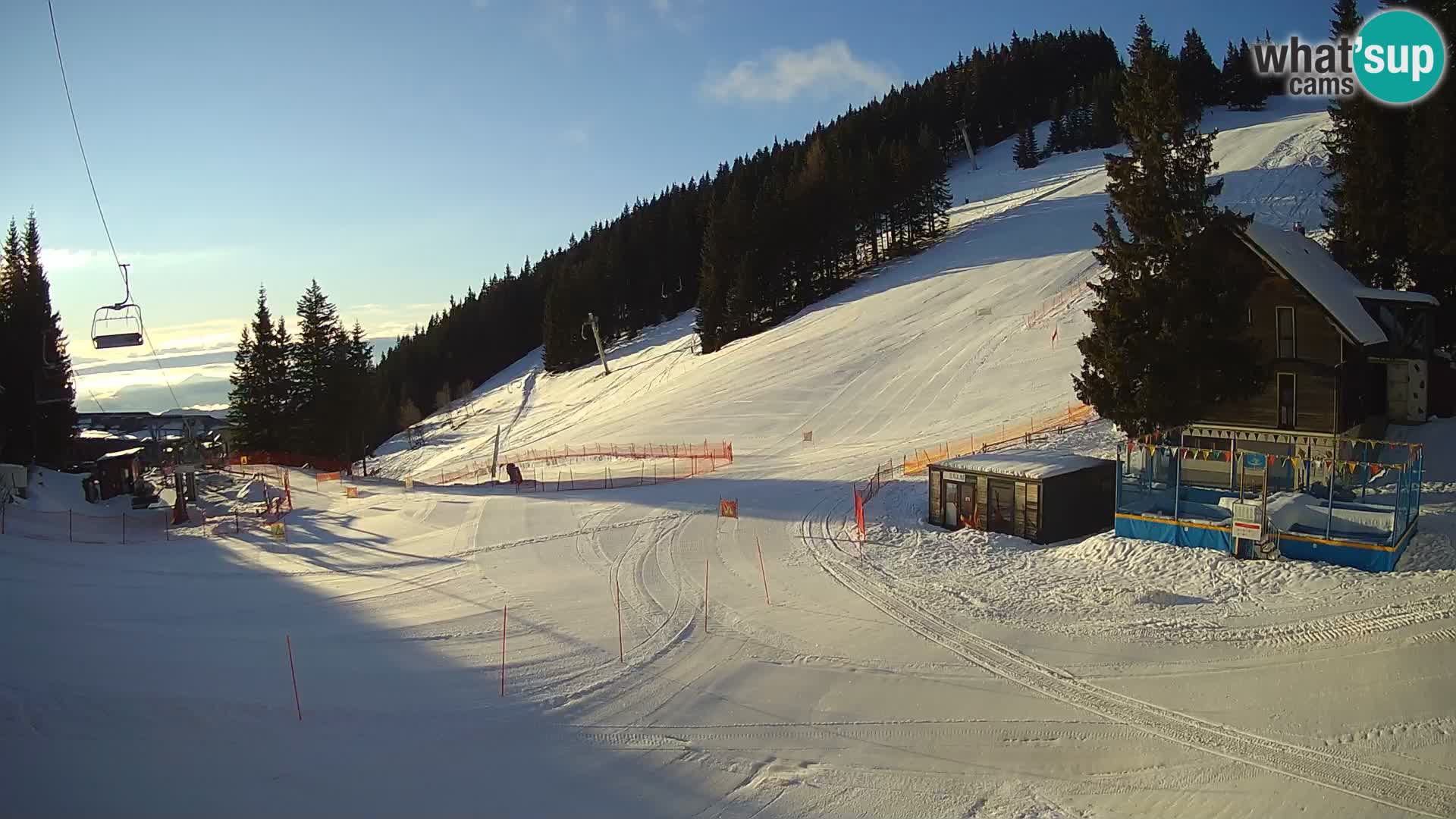 GOLTE stazione sciistica webcam – vista Medvedjak – Slovenia