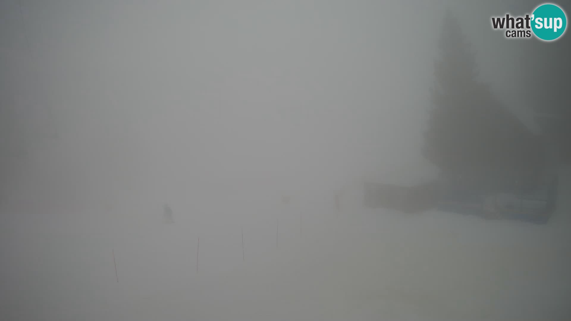 Spletna kamera smučišča GOLTE v živo – pogled na Medvedjak