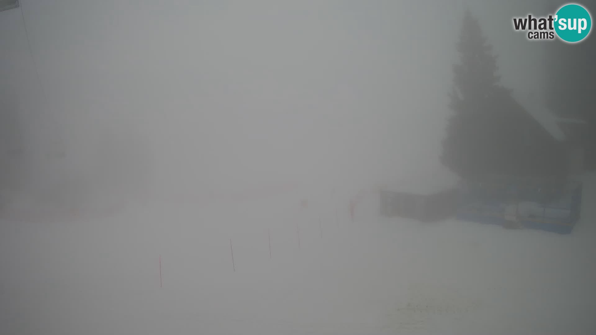 Webcam en direct de la station de ski de GOLTE – vue sur Medvedjak – Slovénie