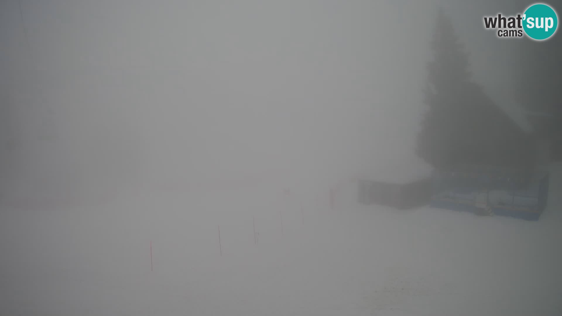 Webcam en direct de la station de ski de GOLTE – vue sur Medvedjak – Slovénie