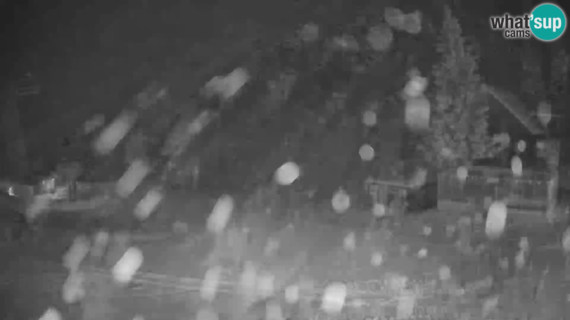 GOLTE Skigebiet webcam – Schöne Aussicht auf Medvedjak – Slowenien