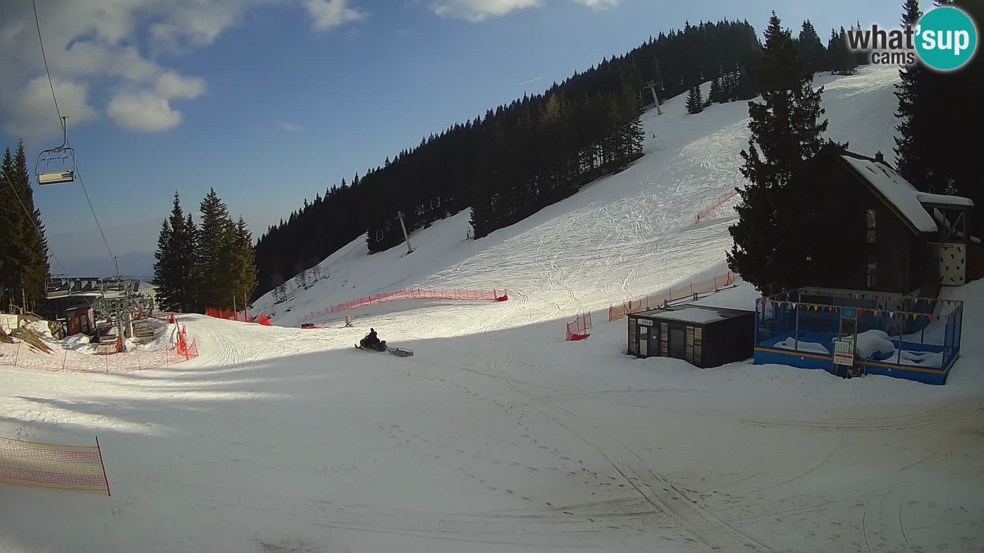 GOLTE stazione sciistica webcam – vista Medvedjak – Slovenia