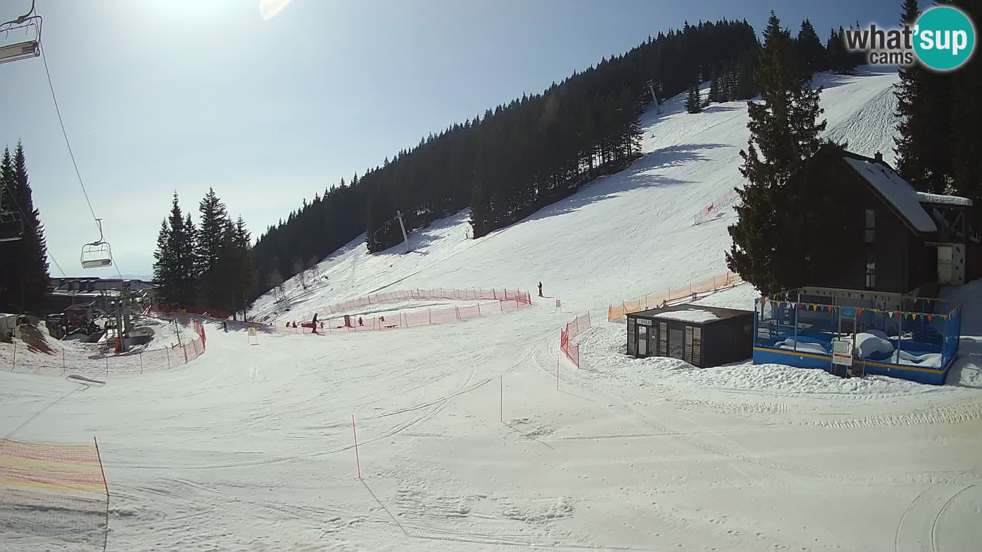 Spletna kamera smučišča GOLTE v živo – pogled na Medvedjak