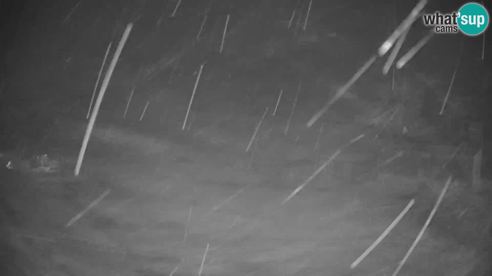 GOLTE Skigebiet webcam – Schöne Aussicht auf Medvedjak – Slowenien